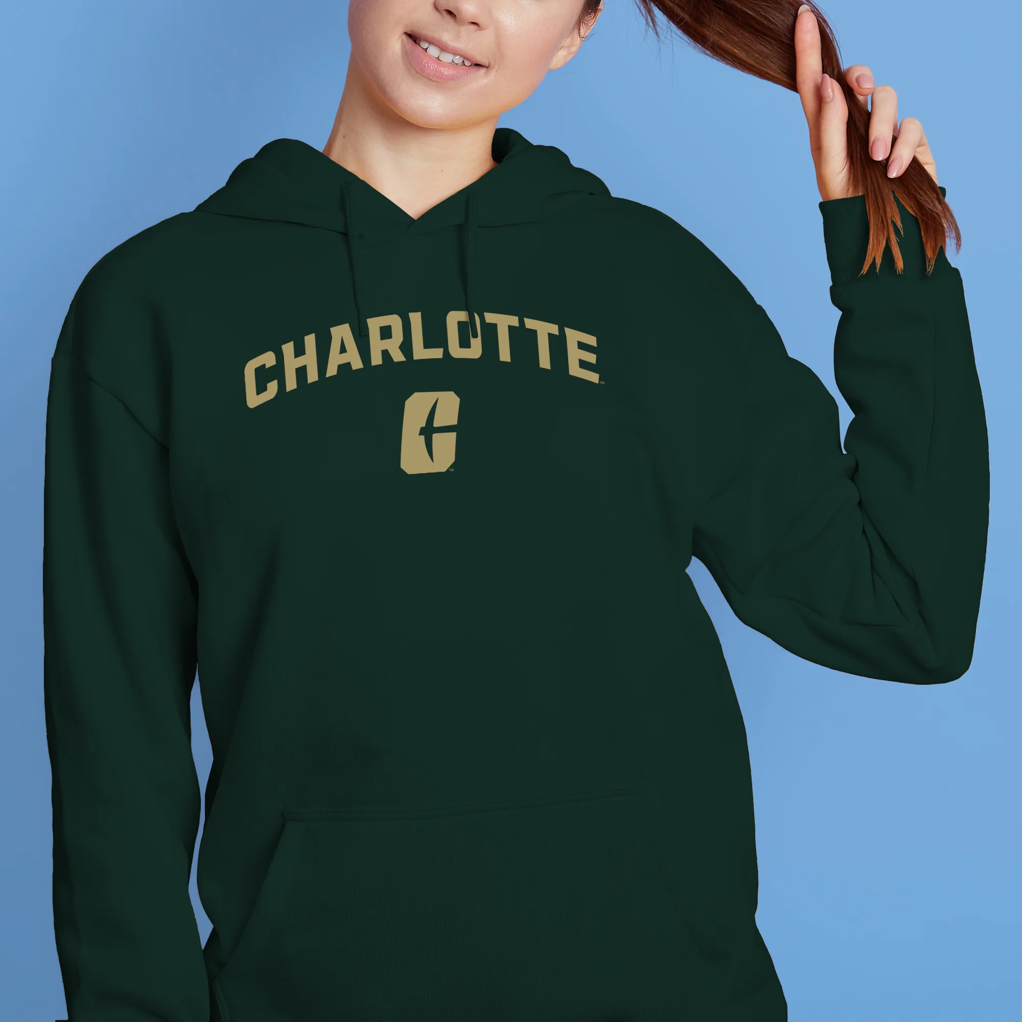 UNC Charlotte Forty-Niners Arch Logo Hoodie - Forest - Image 4