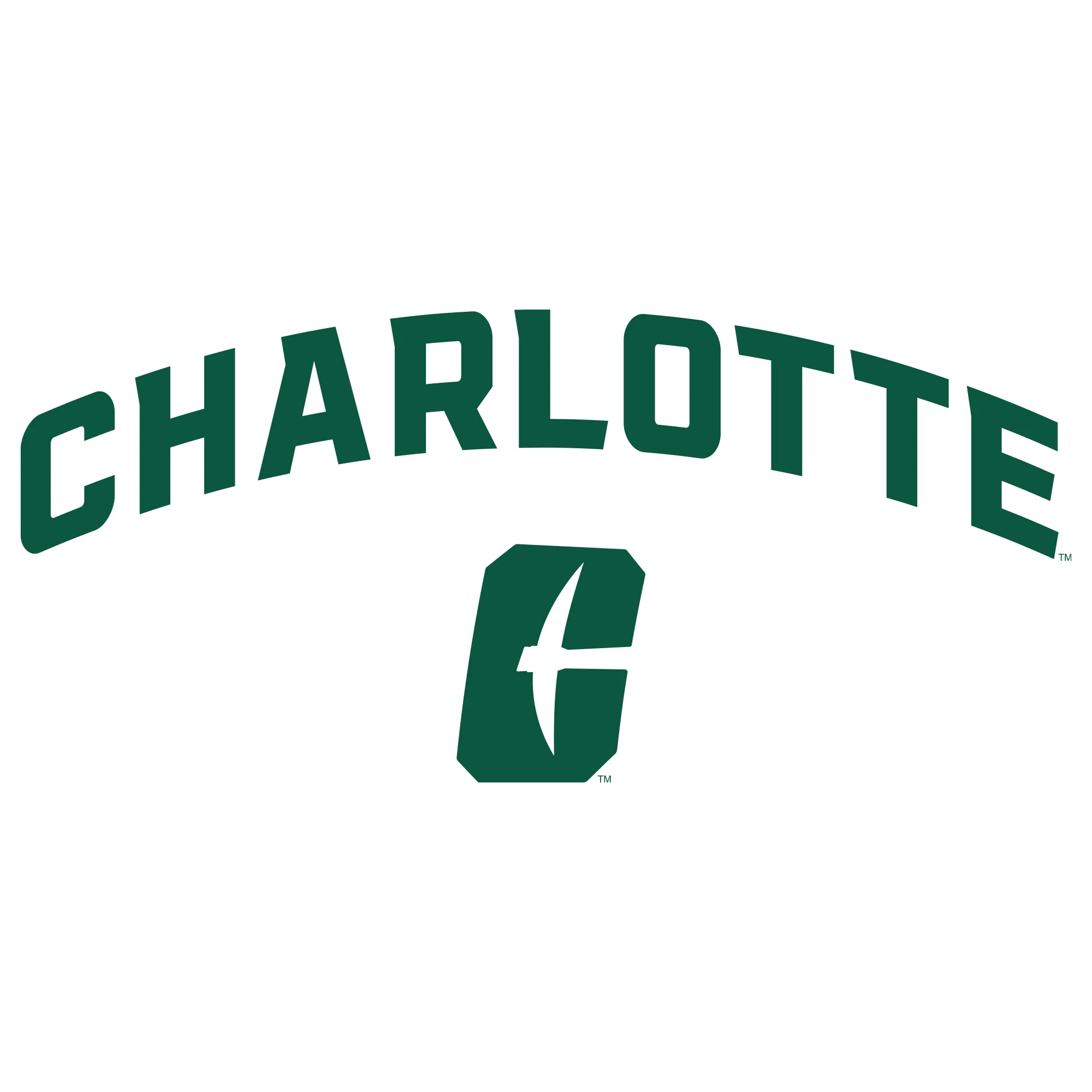 UNC Charlotte Forty-Niners Arch Logo Hoodie - White - Image 2