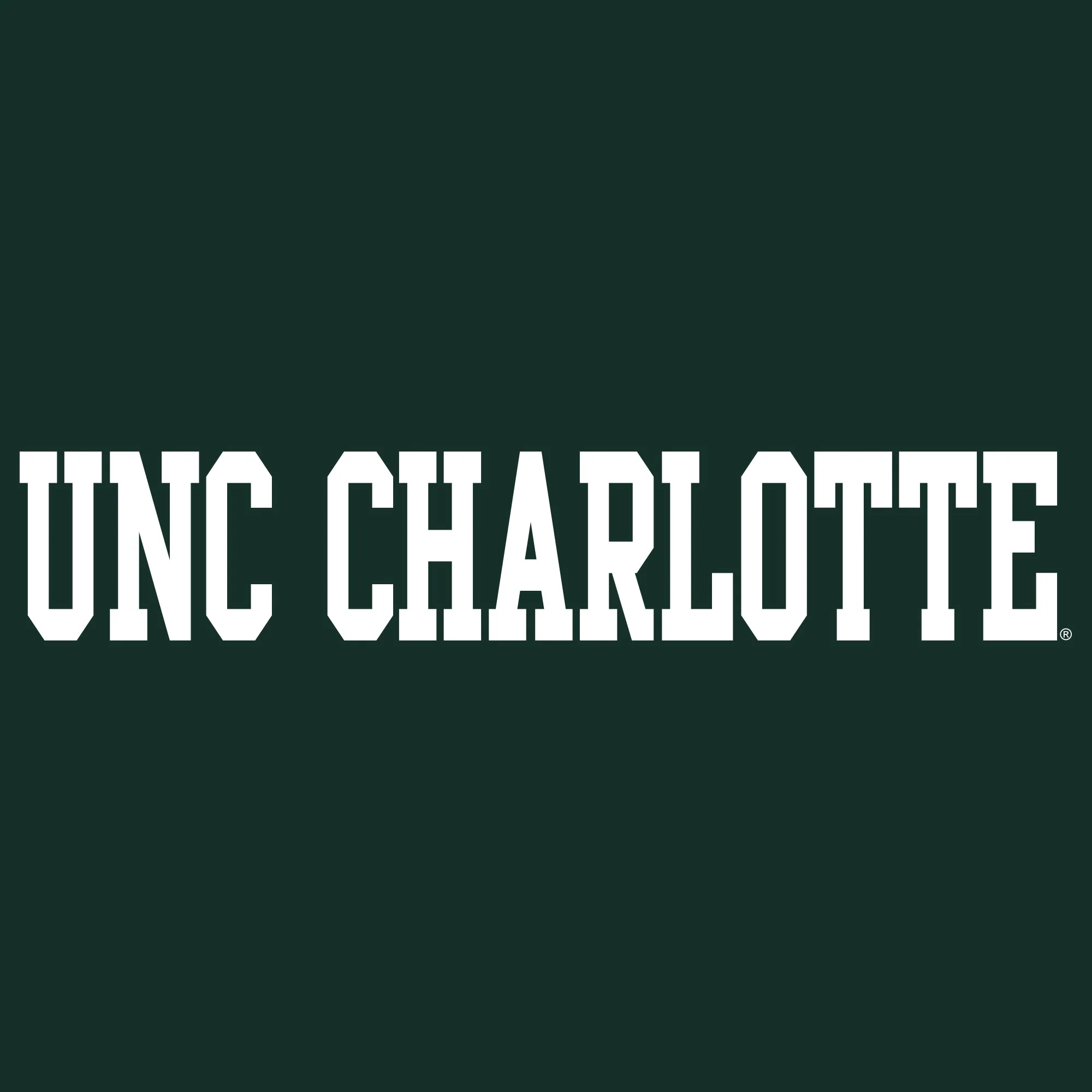 UNC Charlotte Forty-Niners Basic Block Hoodie - Forest - Image 2