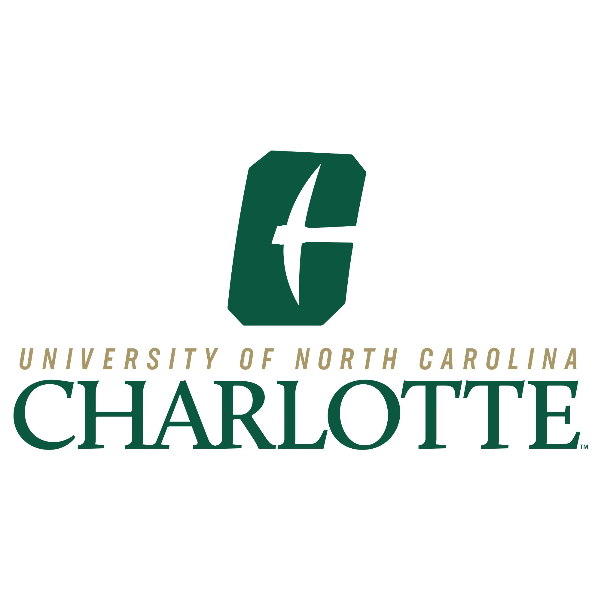 UNC Charlotte Forty-Niners Institutional Logo Hoodie - White - Image 2