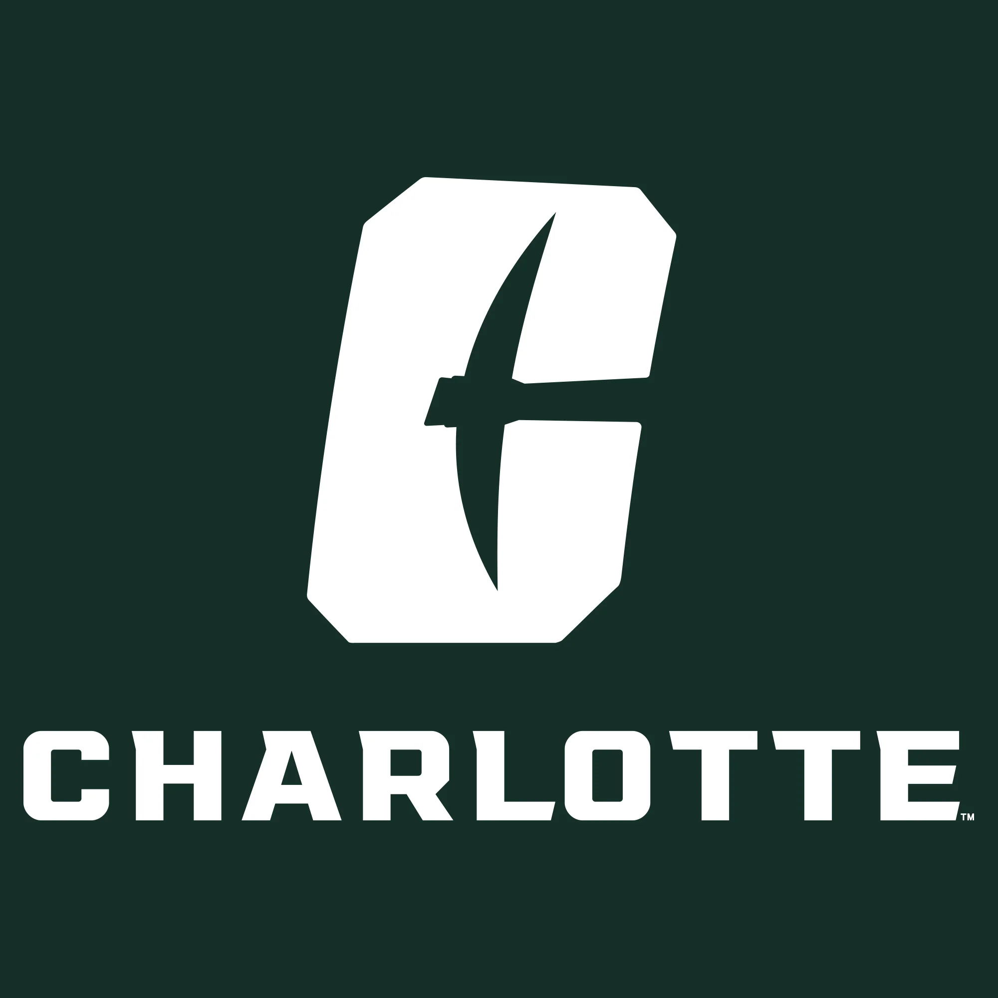UNC Charlotte Forty-Niners Primary Logo Hoodie - Forest - Image 2