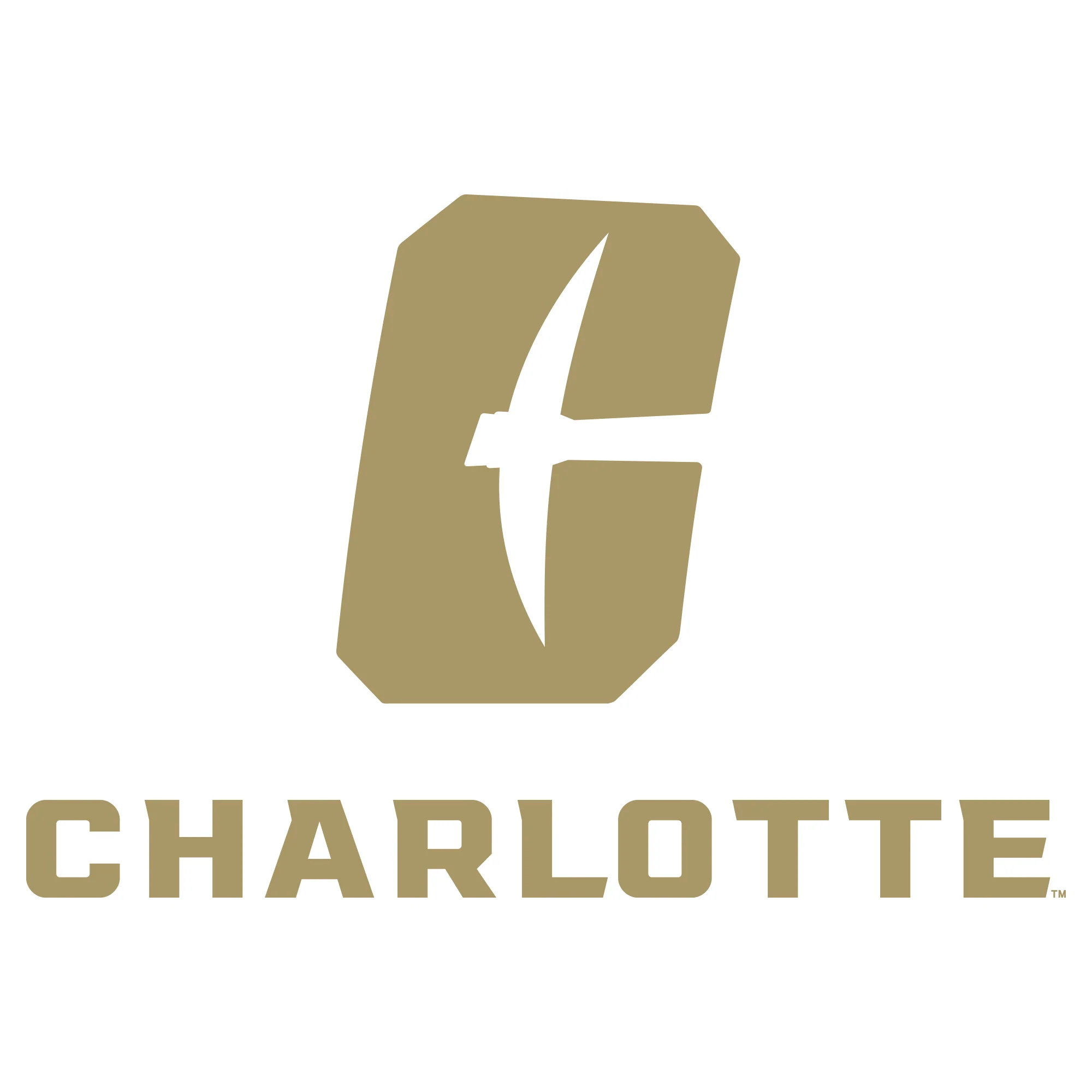 UNC Charlotte Forty-Niners Primary Logo Hoodie - White - Image 2