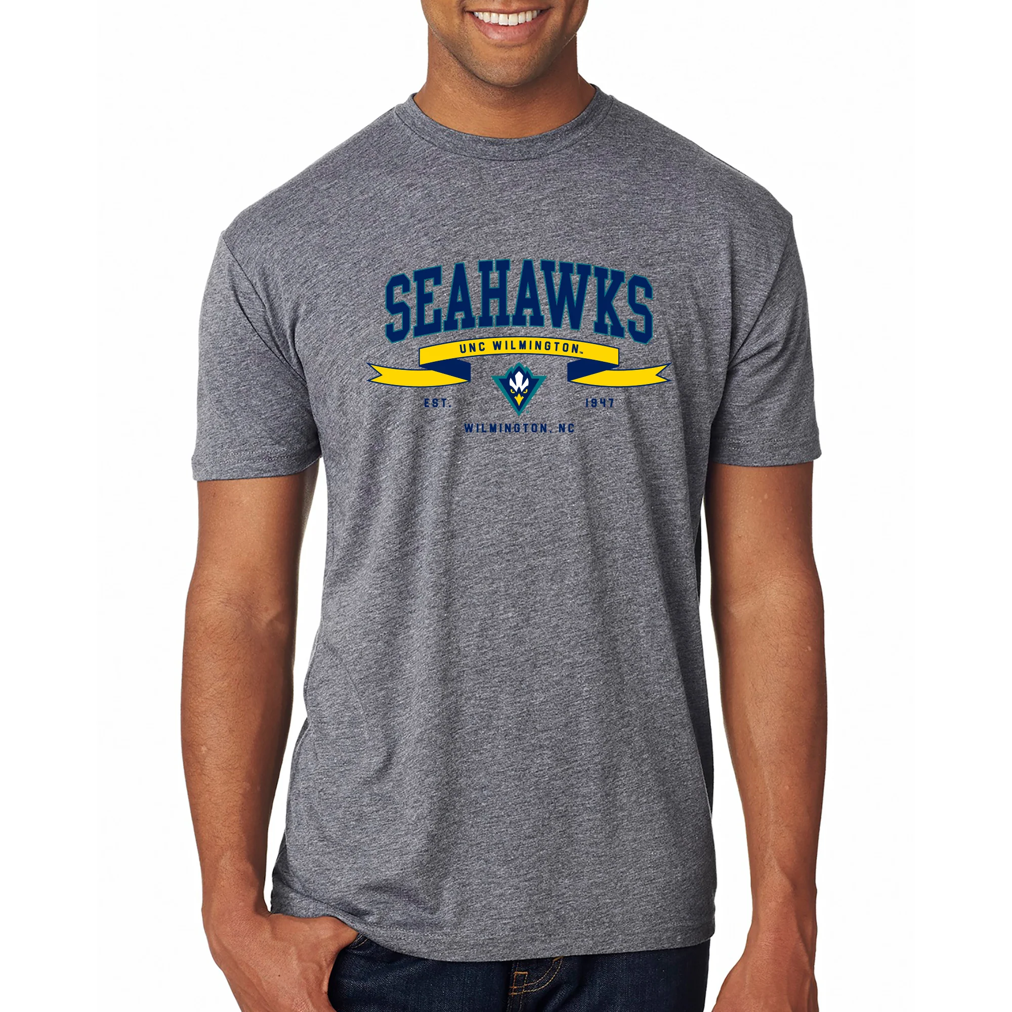 UNC Wilmington Ribbon Flight NLA Triblend T-Shirt - Premium Heather - Image 3