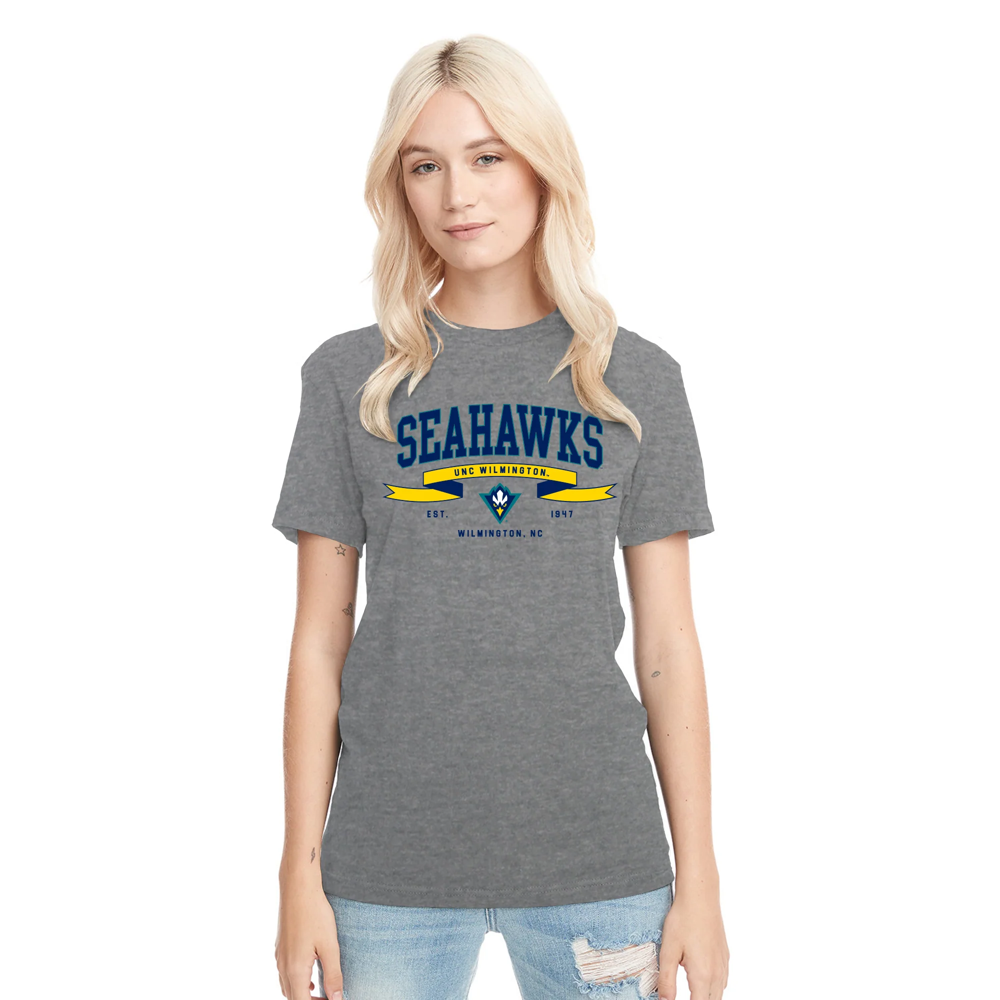UNC Wilmington Ribbon Flight NLA Triblend T-Shirt - Premium Heather - Image 4