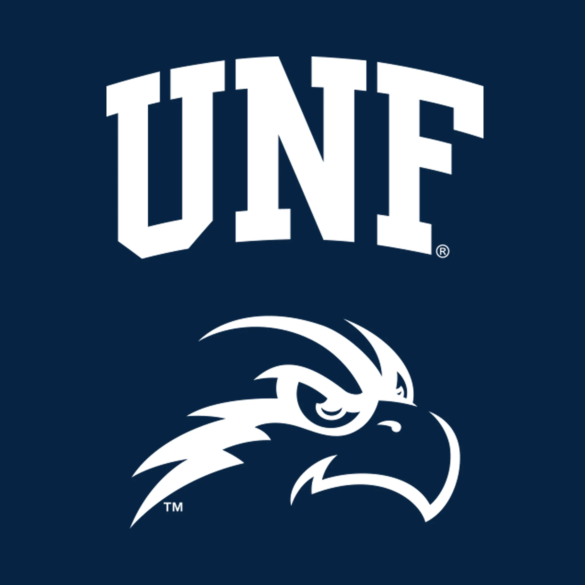 University of North Florida Ospreys Arch Logo Creeper - Navy - Image 2