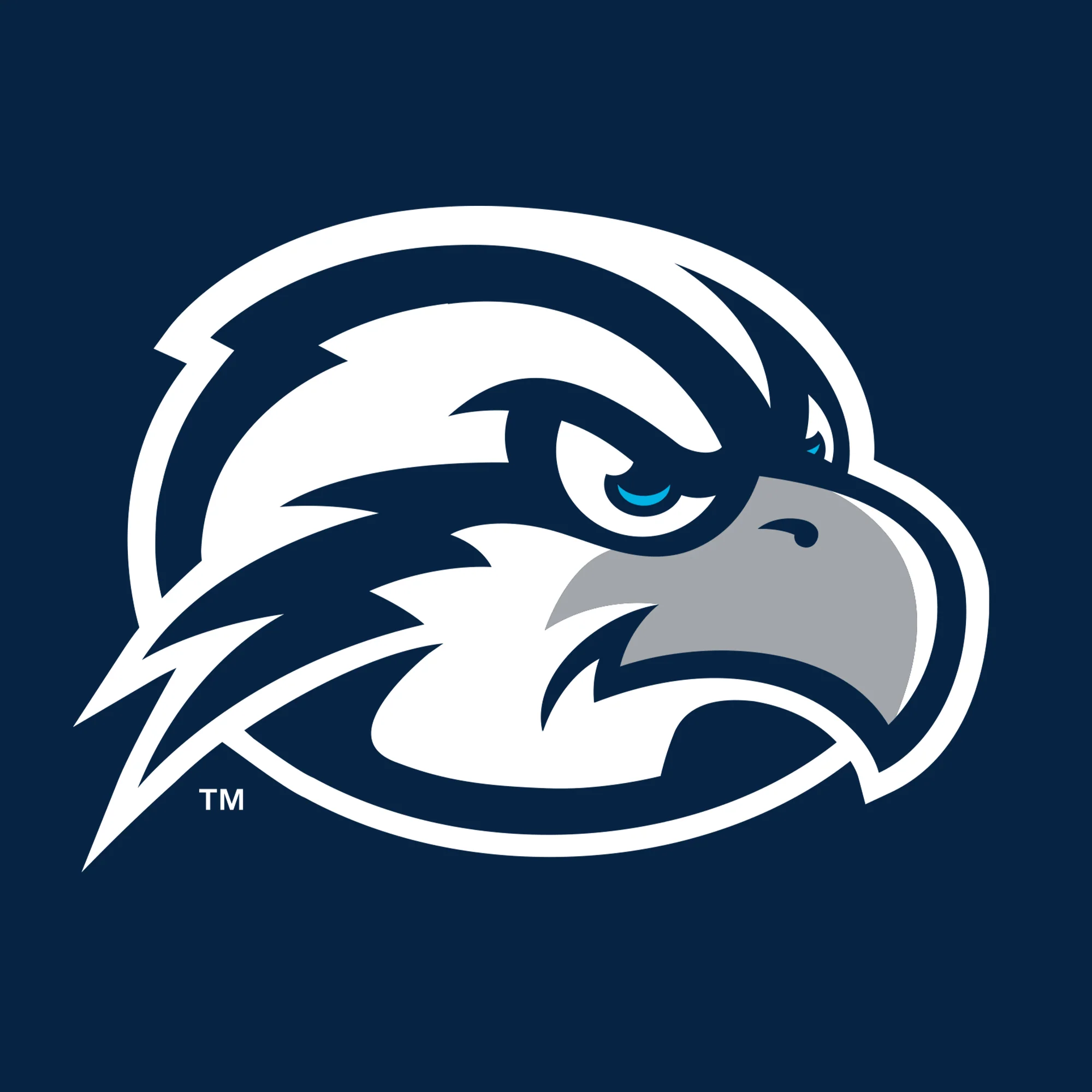University of North Florida Ospreys Primary Logo Toddler Short Sleeve T Shirt - Navy - Image 2