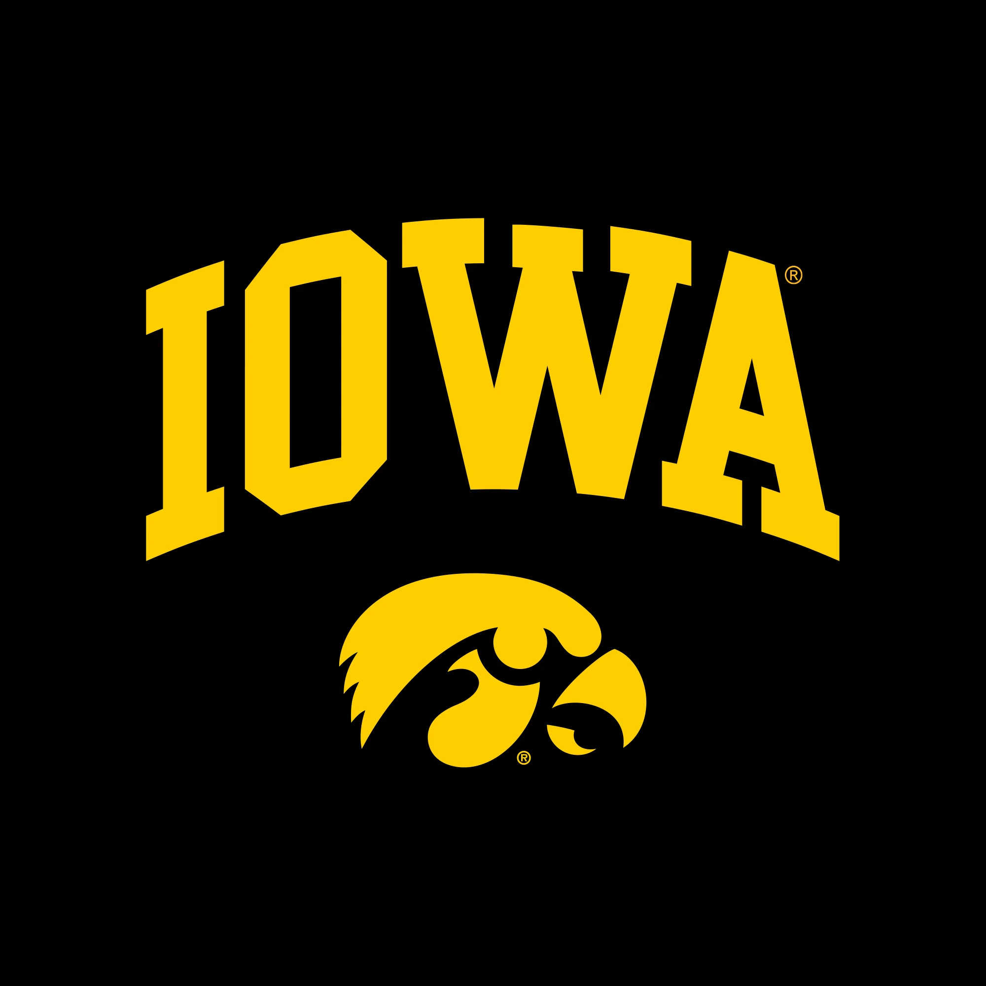 University of Iowa Hawkeyes Arch Logo Cotton Short Sleeve T Shirt - Black - Image 2