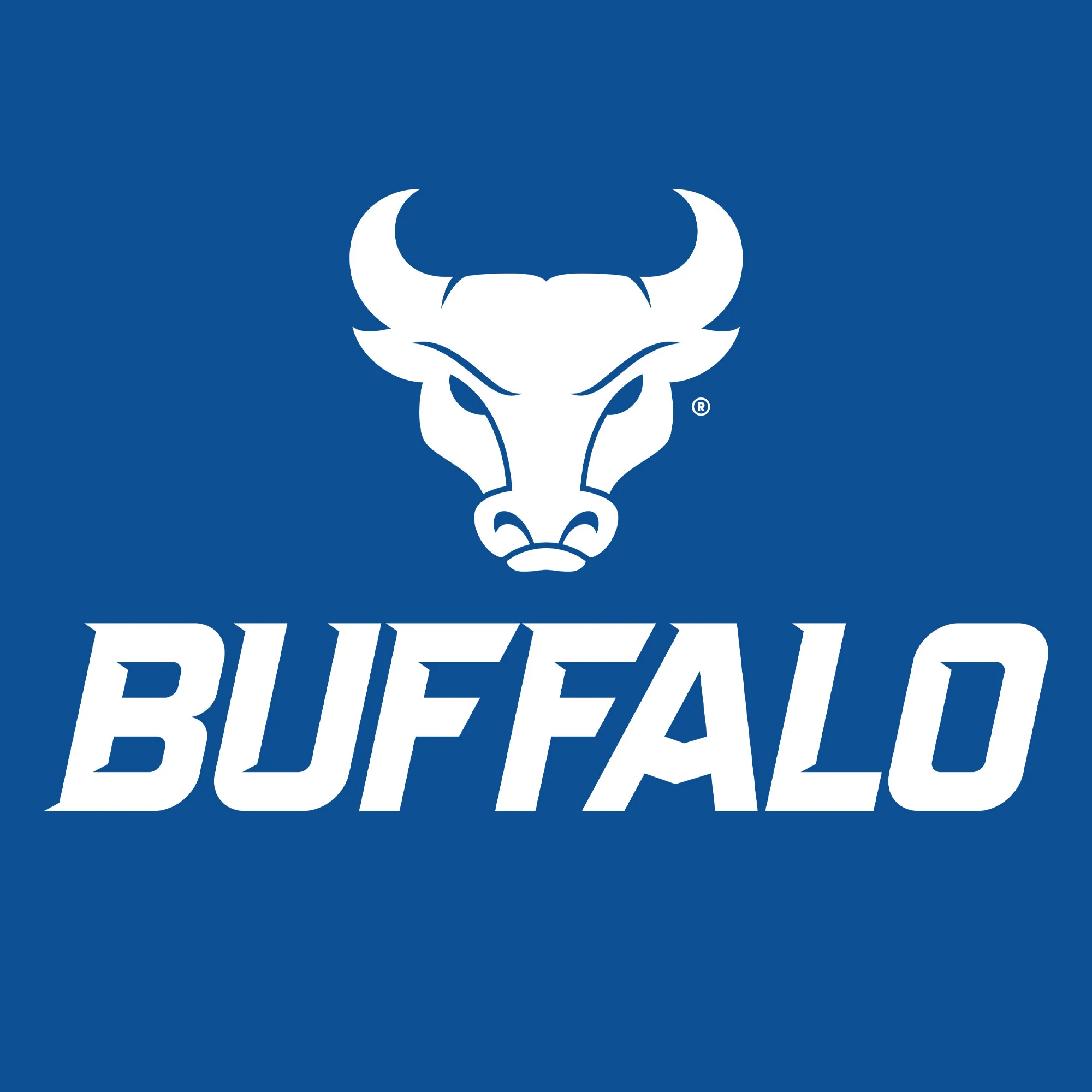 University at Buffalo Bulls Front Back Print Heavy Blend Hoodie - Royal - Image 4