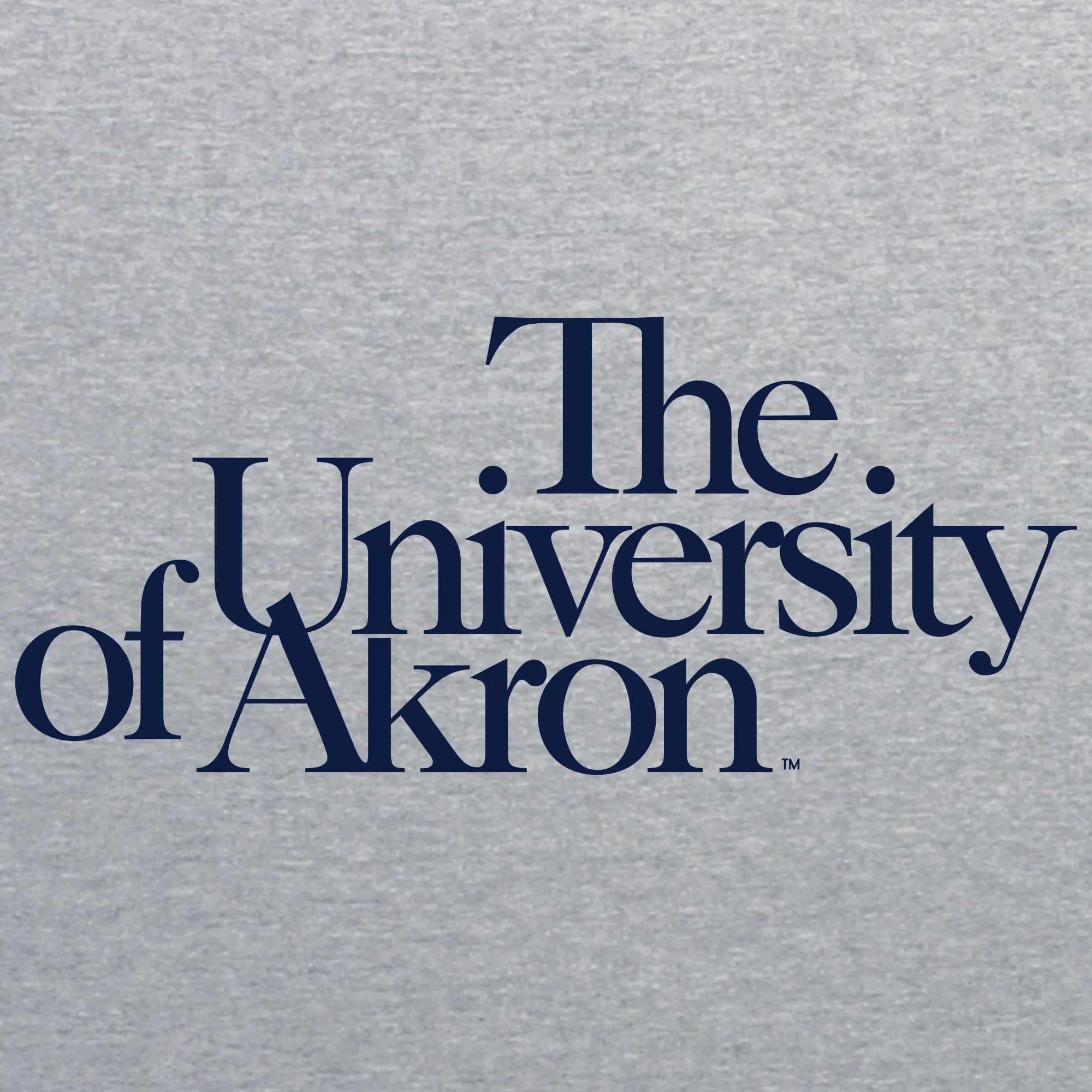 University of Akron Institutional Logo Hoodie - Sport Grey - Image 2