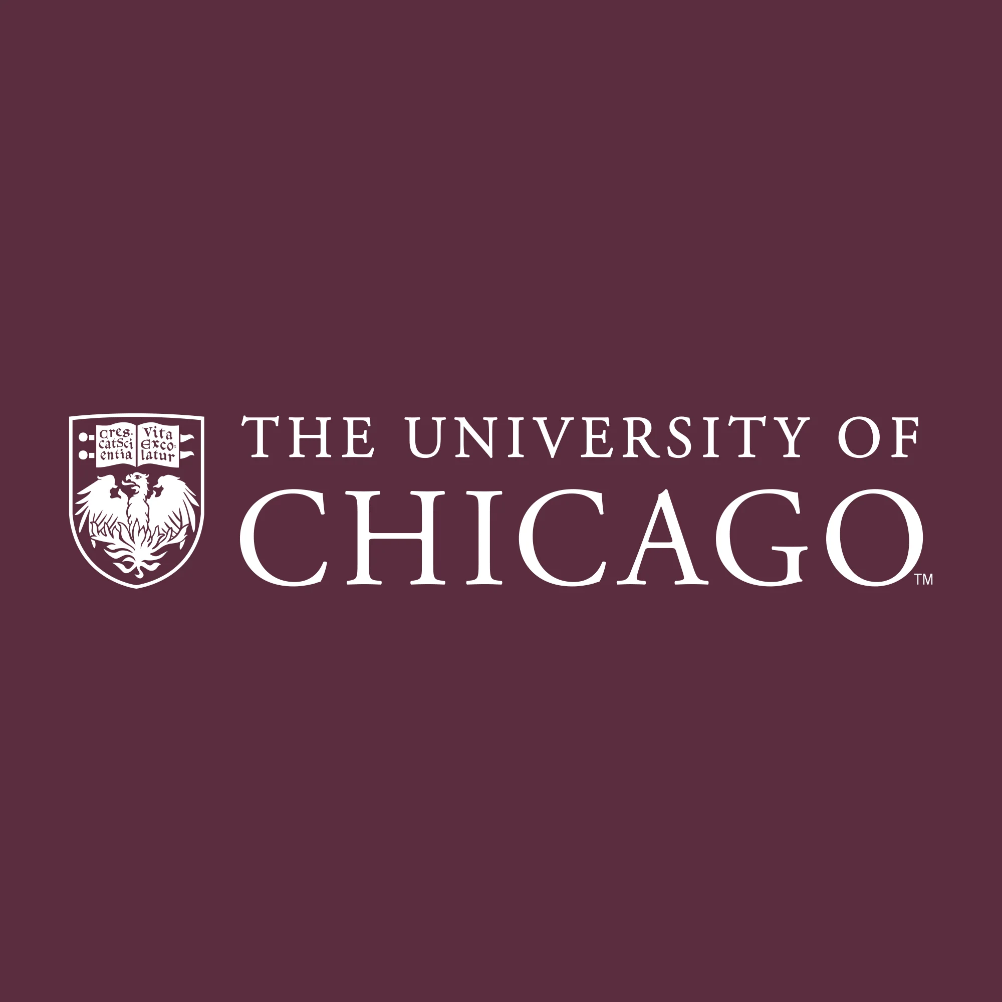 University of Chicago Maroons Institutional Logo Hoodie - Maroon - Image 2