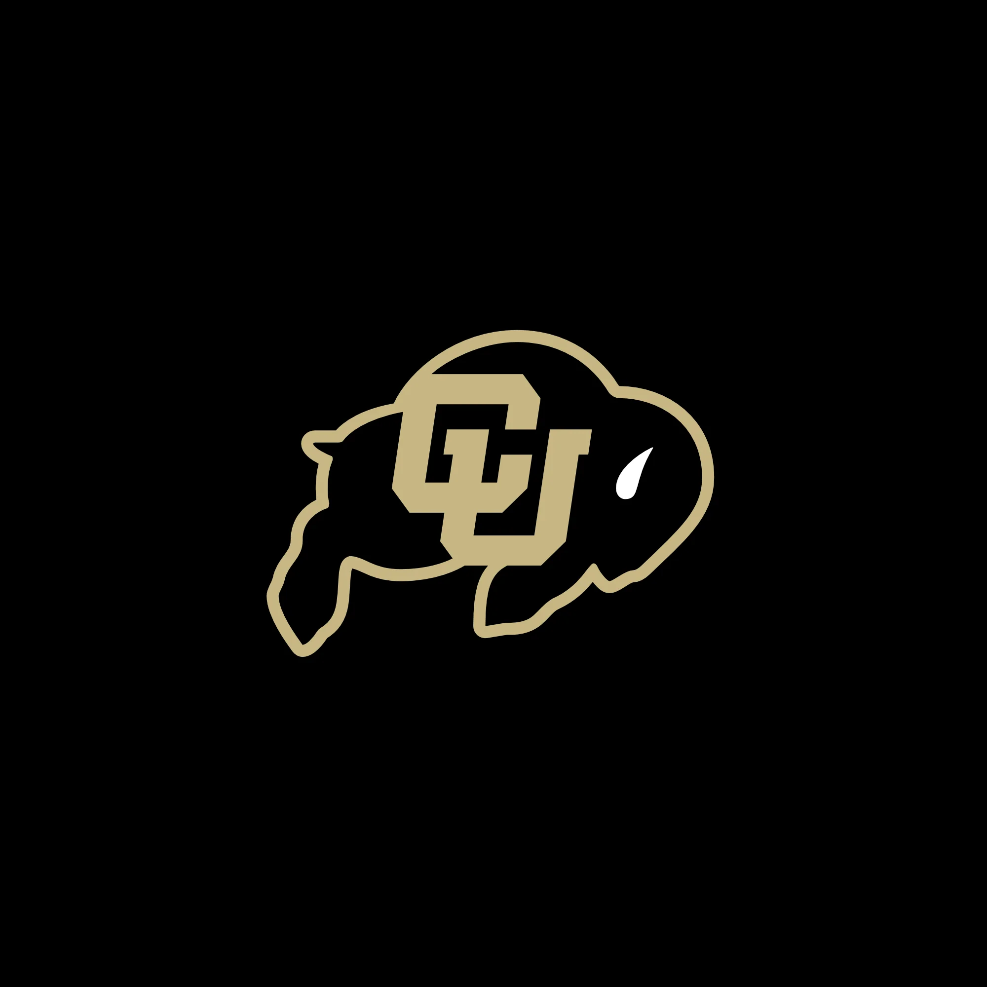 University of Colorado Buffaloes Primary Logo Left Chest Polo - Black - Image 2