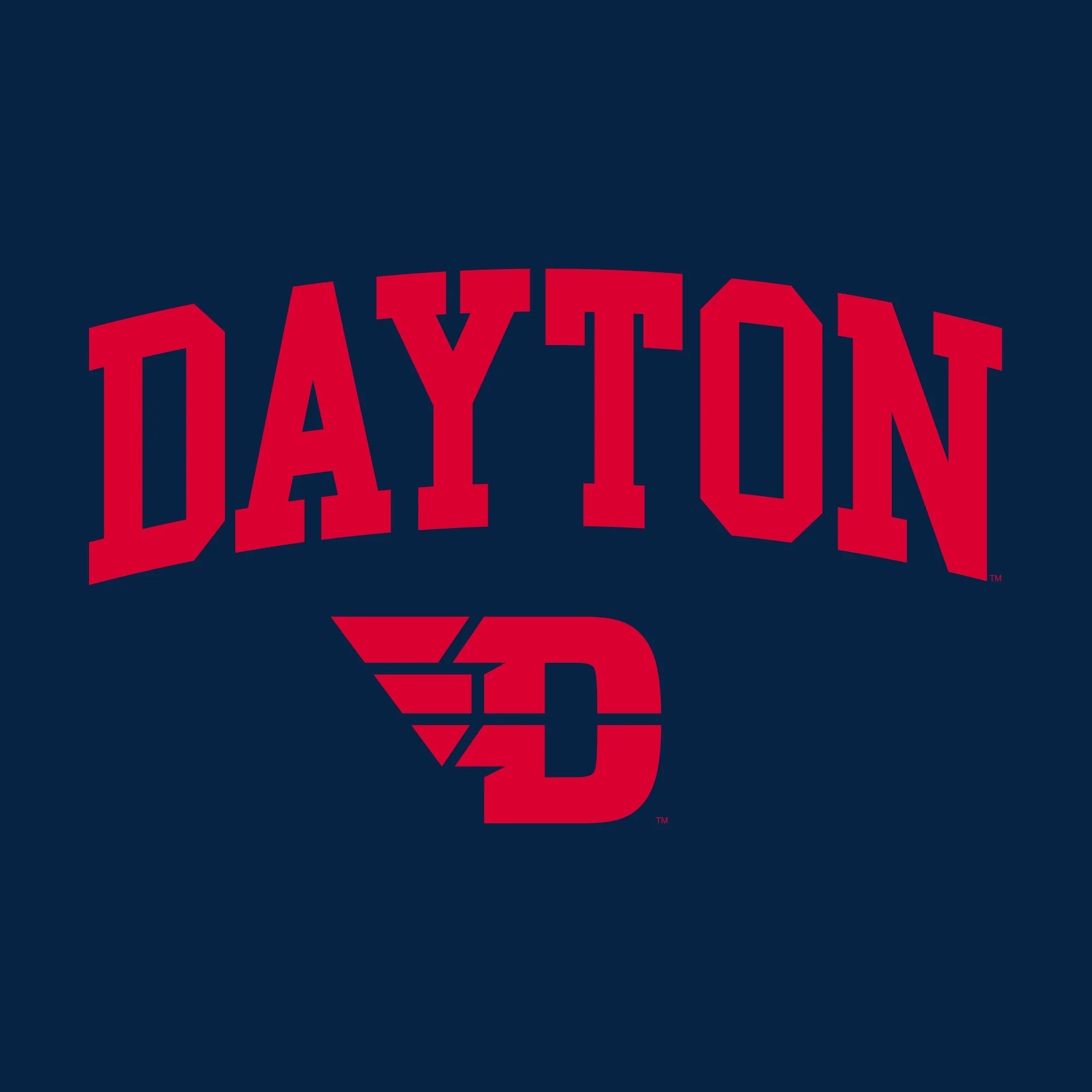University of Dayton Flyers Arch Logo Heavy Blend Hoodie - Navy - Image 2