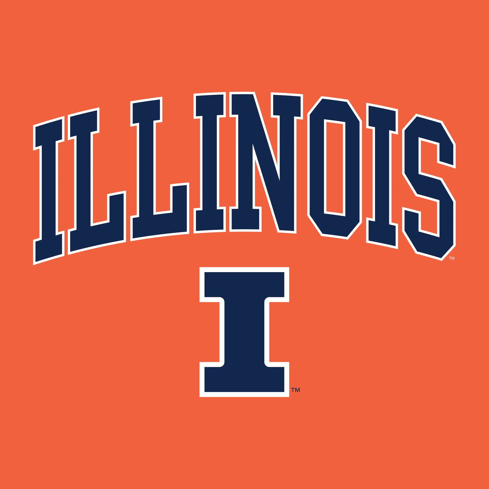 University of Illinois Fighting Illini Arch Logo Cotton Youth T-Shirt - Orange - Image 2