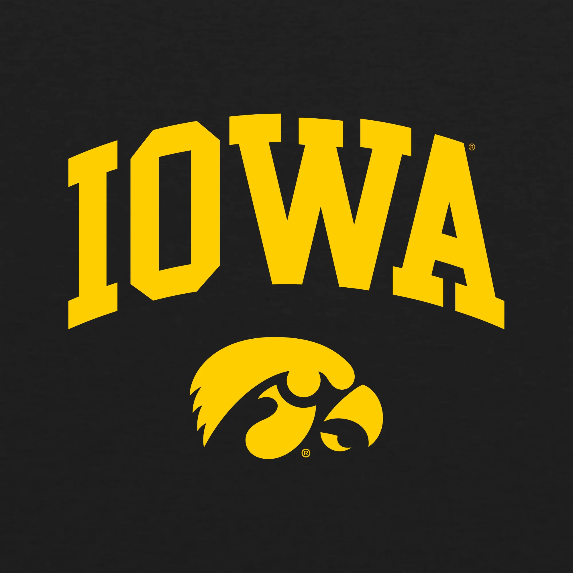 University of Iowa Hawkeyes Arch Logo Heavy Cotton Tank Top - Black - Image 2