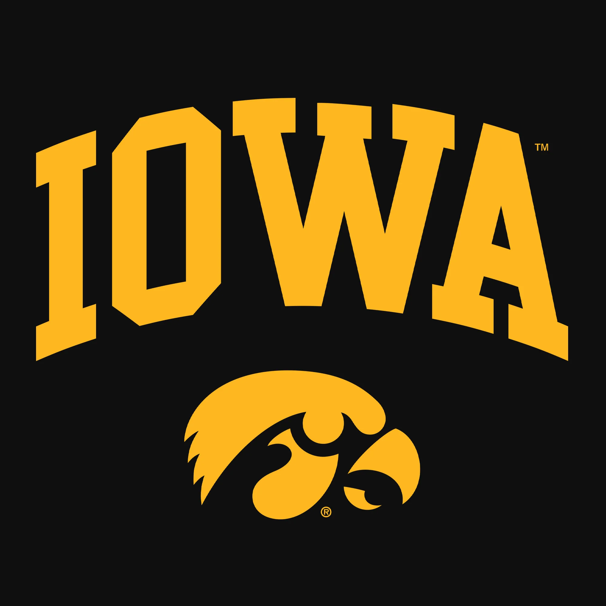 University of Iowa Arch Logo Heavy Cotton Youth Short Sleeve T-Shirt - Black - Image 2