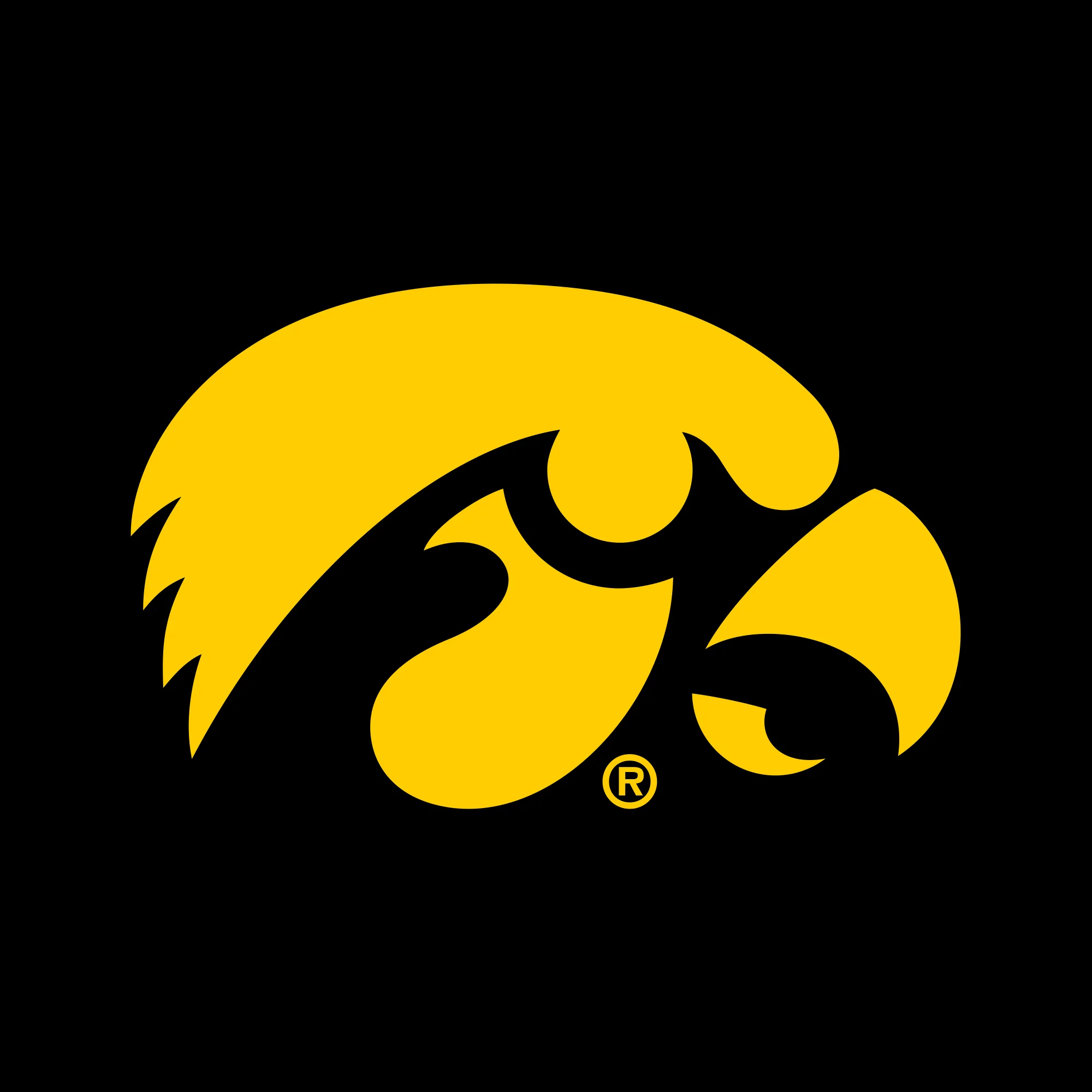 University of Iowa Hawkeye Logo Sweatpants - Black - Image 2