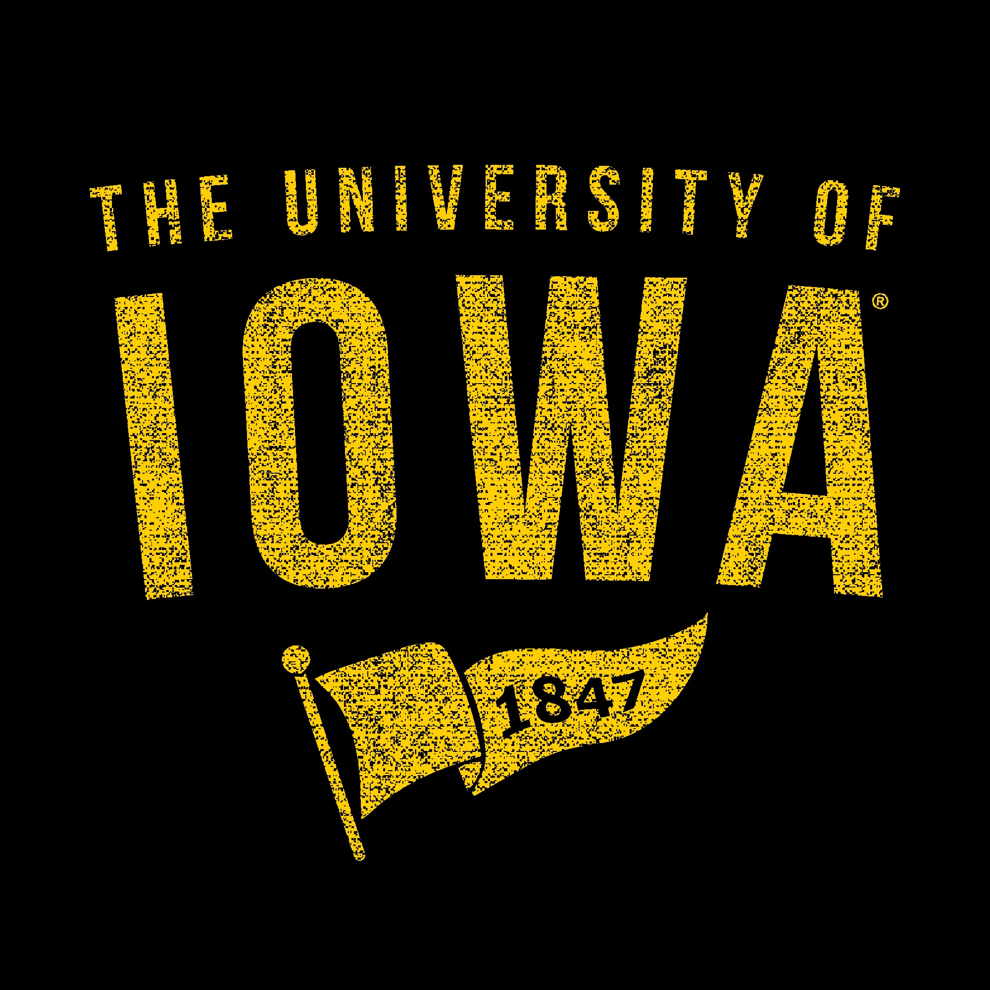 University of Iowa Hawkeyes 1847 Banner Canvas Short Sleeve Triblend T-Shirt - Solid Black - Image 2