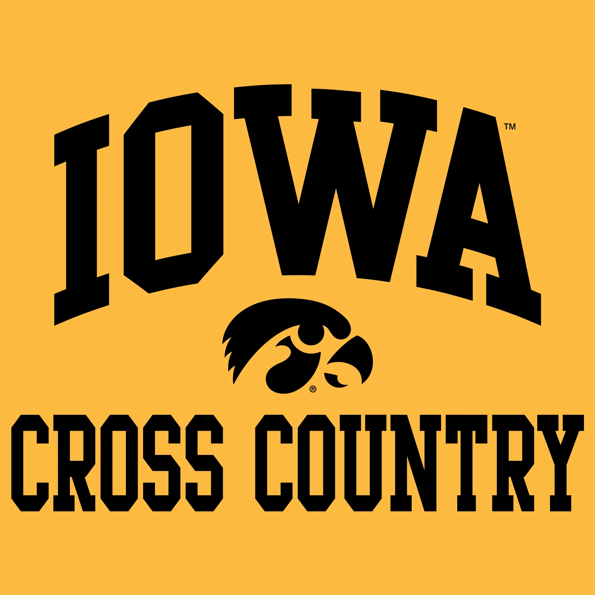 University of Iowa Hawkeyes Arch Logo Cross Country Long Sleeve T Shirt- Gold - Image 2
