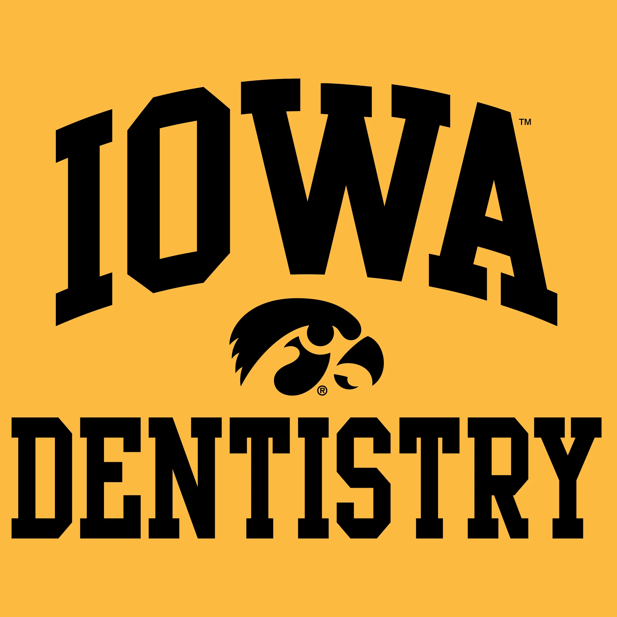 University of Iowa Hawkeyes Arch Logo Dentistry Short Sleeve T Shirt - Gold - Image 2