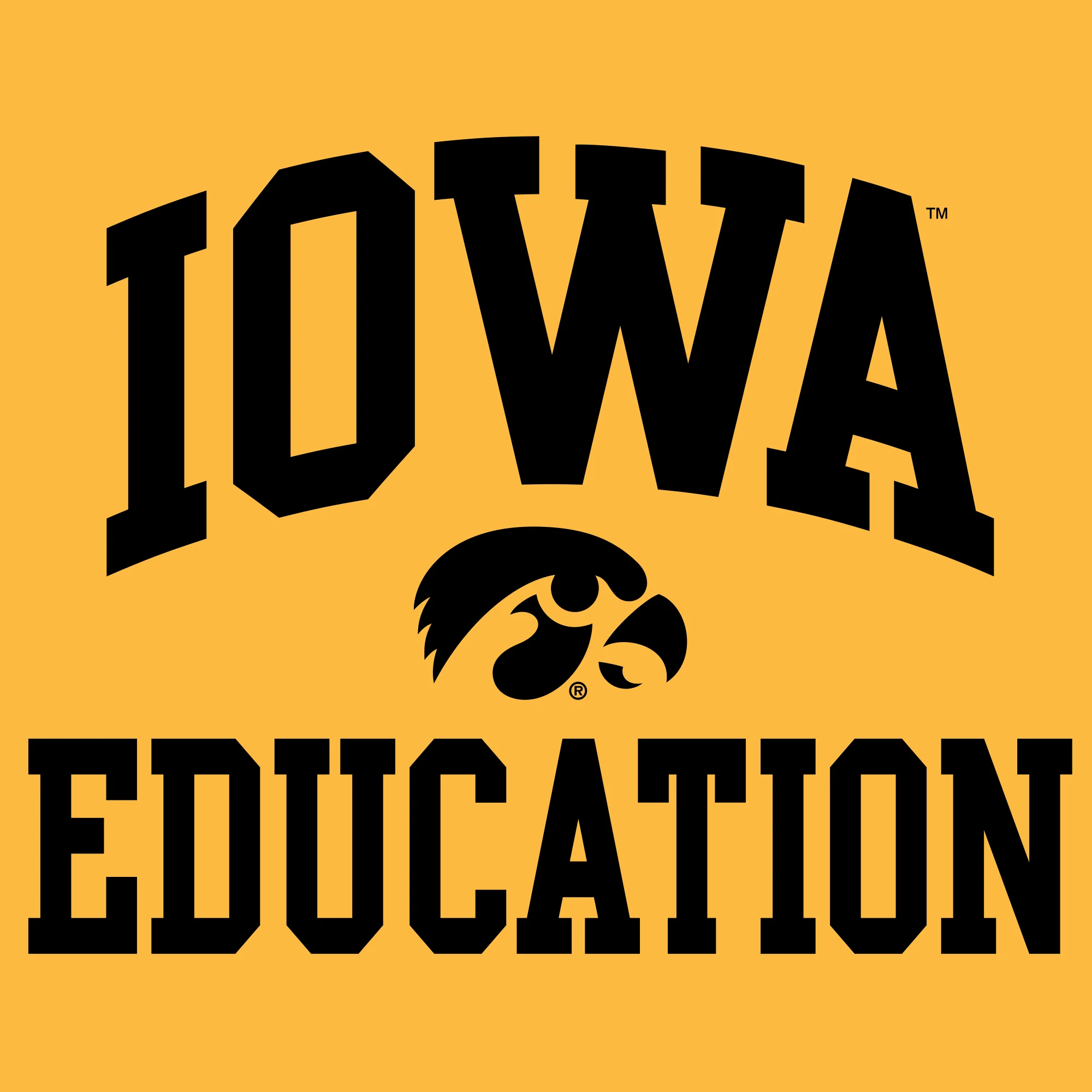 University of Iowa Hawkeyes Arch Logo Education Short Sleeve T Shirt - Gold - Image 2