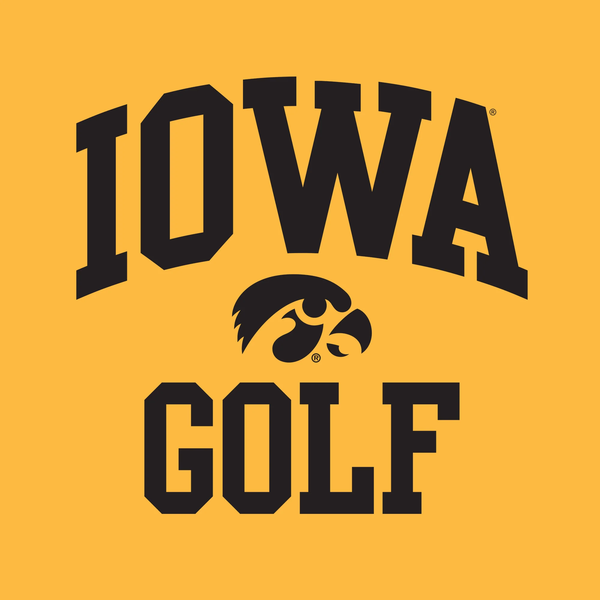 University of Iowa Hawkeyes Arch Logo Golf Short Sleeve T Shirt - Gold - Image 2