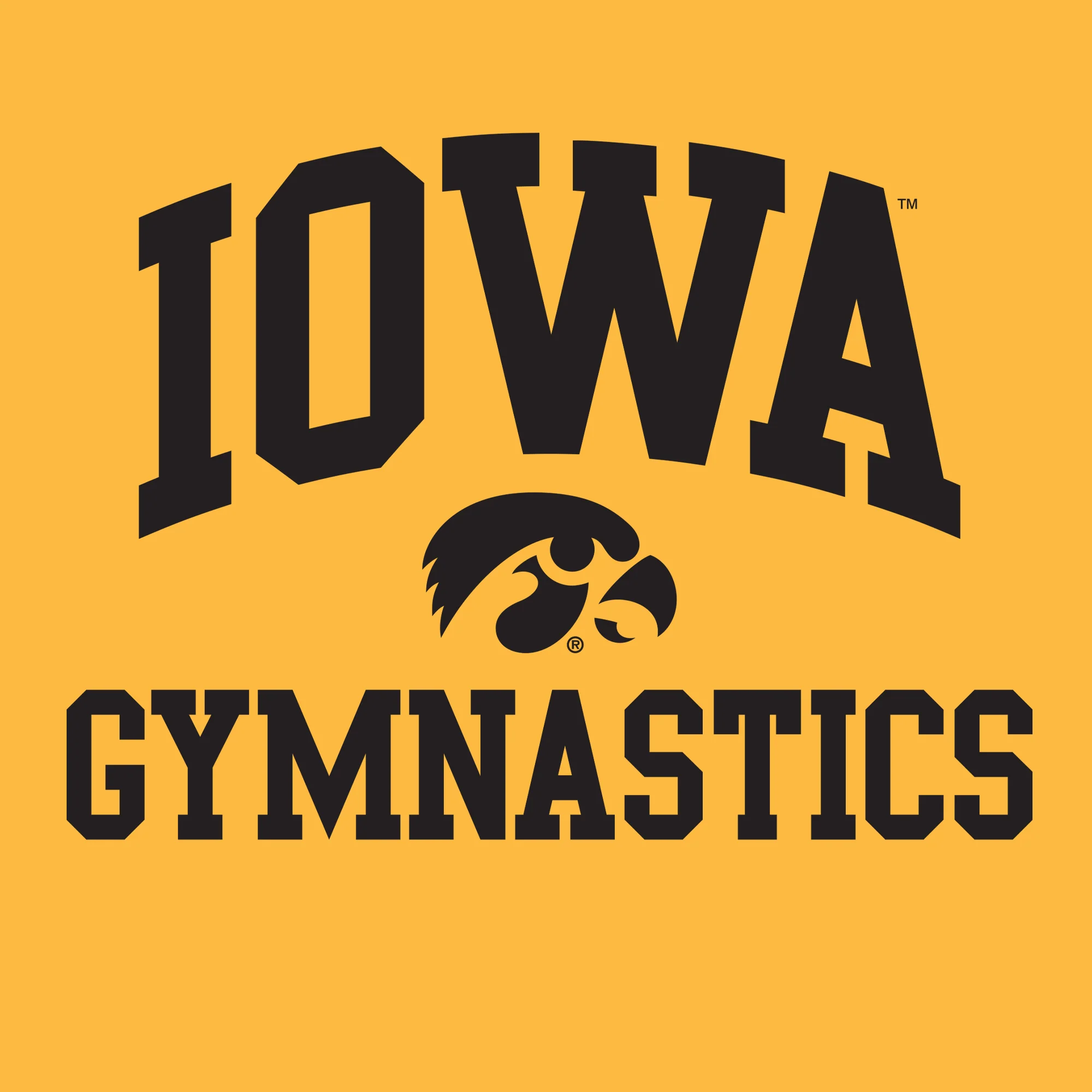 University of Iowa Hawkeyes Arch Logo Gymnastics Hoodie- Gold - Image 2