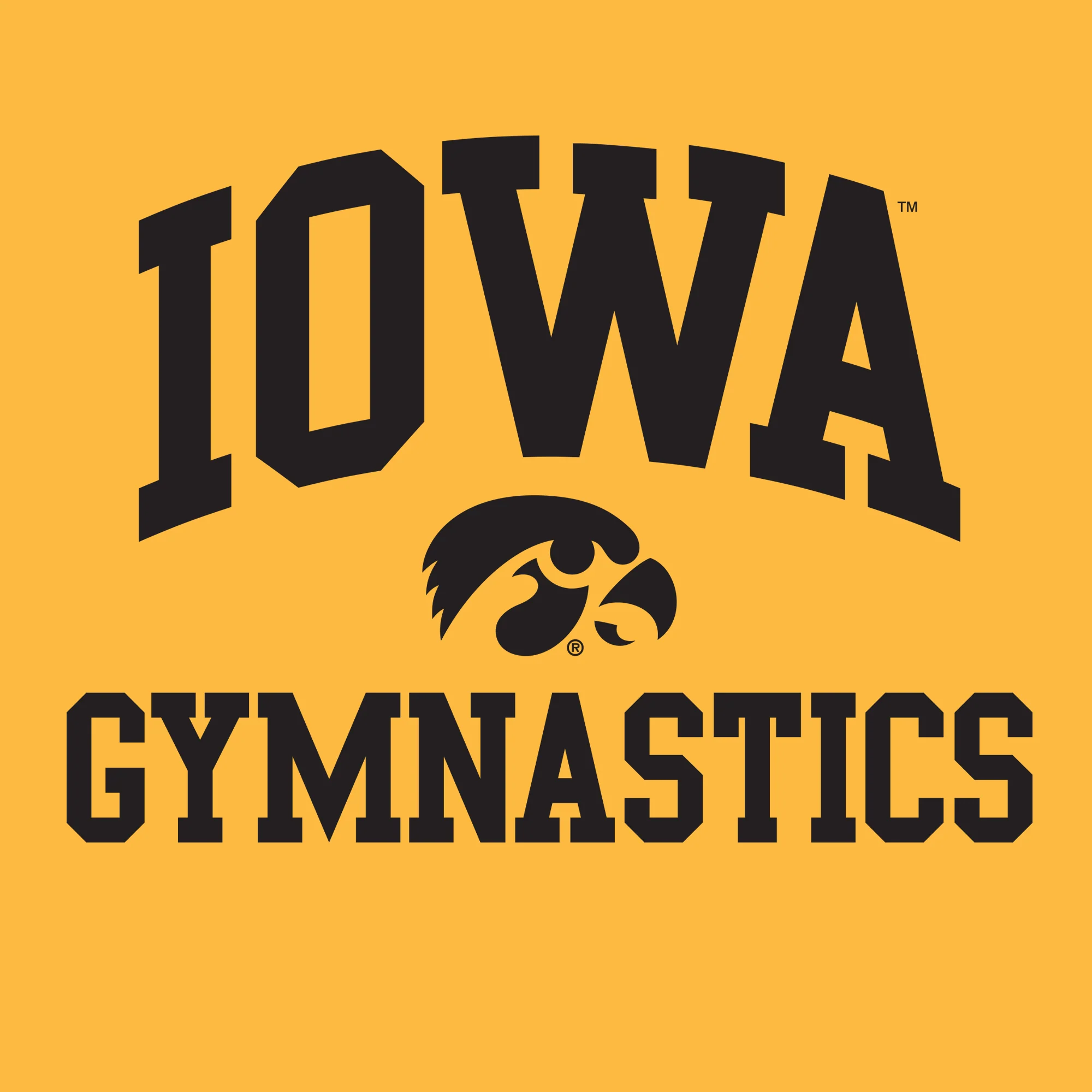University of Iowa Hawkeyes Arch Logo Gymnastics Long Sleeve T Shirt- Gold - Image 2