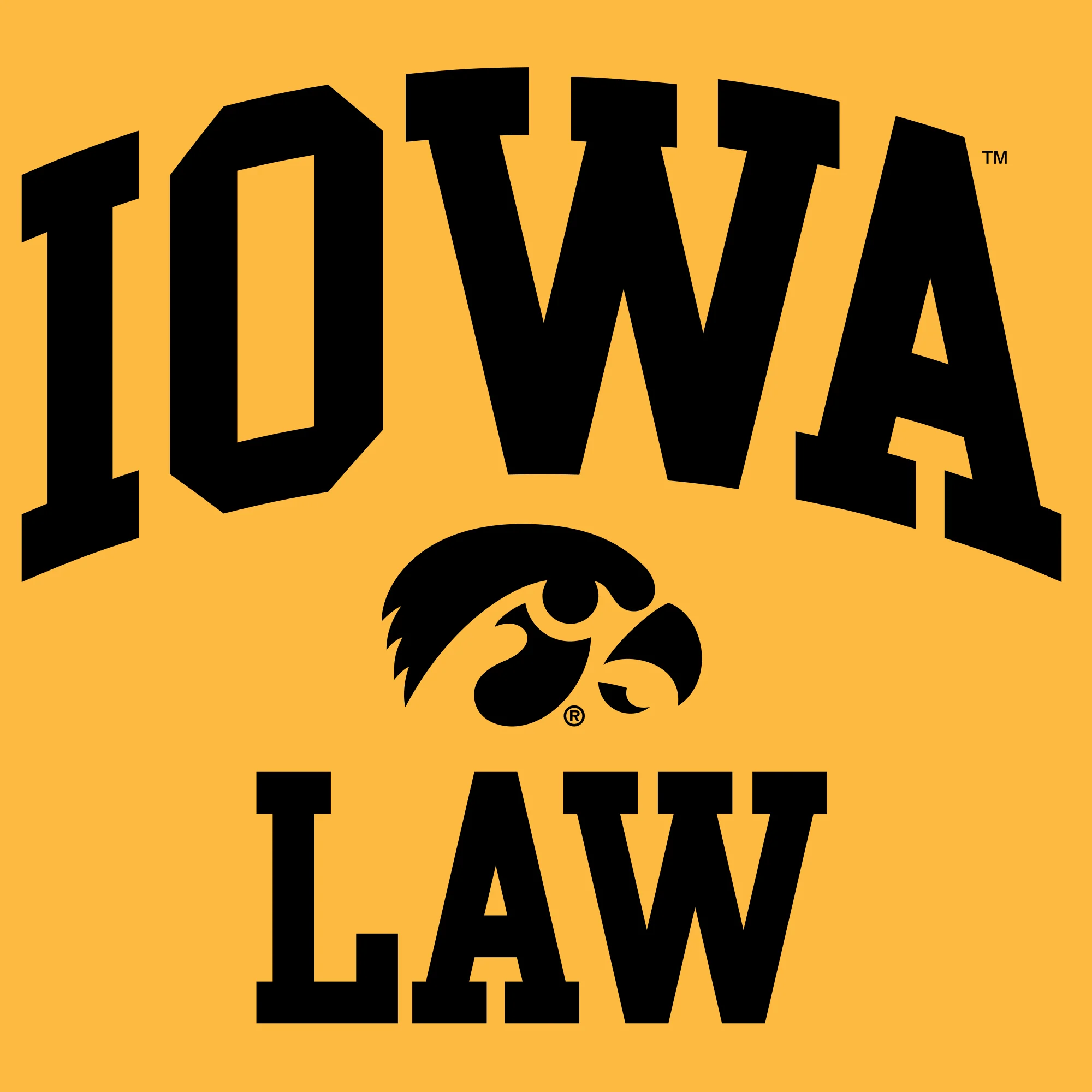 University of Iowa Hawkeyes Arch Logo Law Short Sleeve T Shirt - Gold - Image 2
