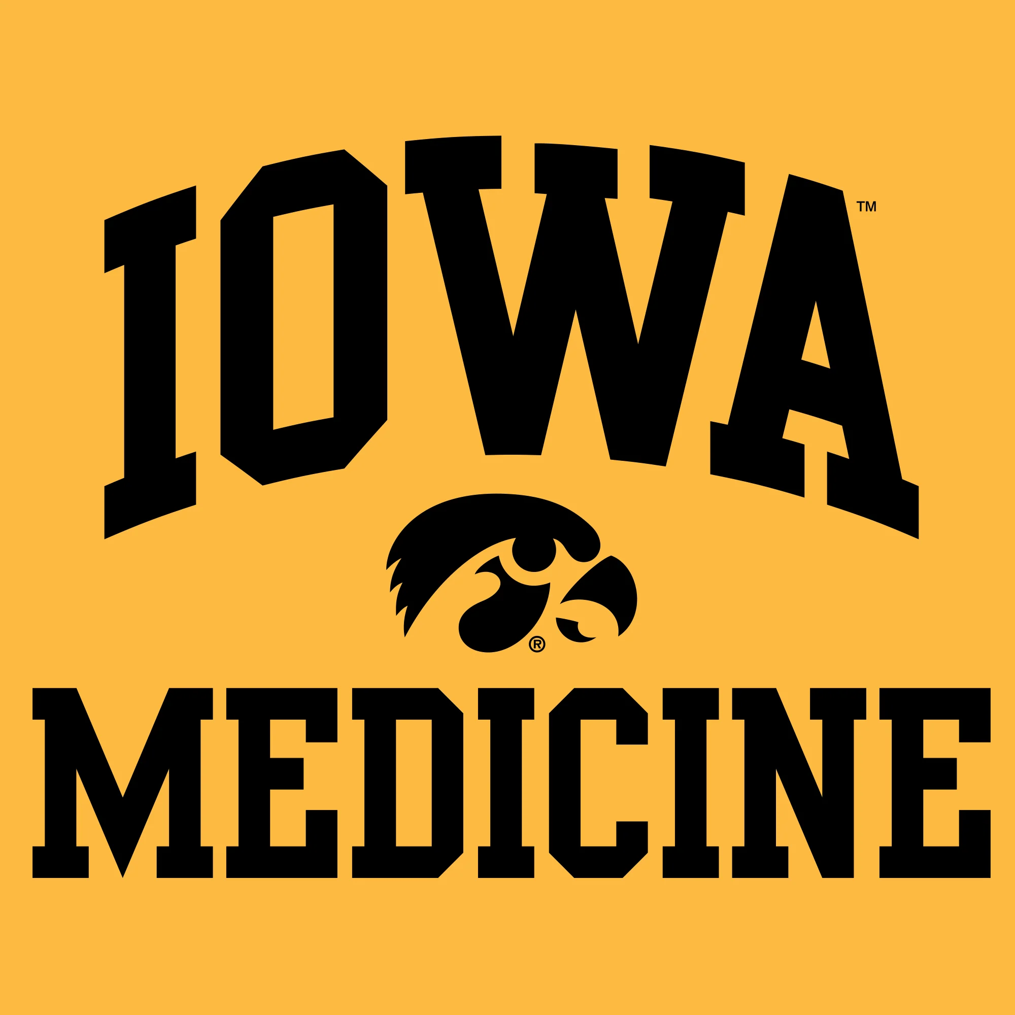 University of Iowa Hawkeyes Arch Logo Medicine Short Sleeve T Shirt - Gold - Image 2
