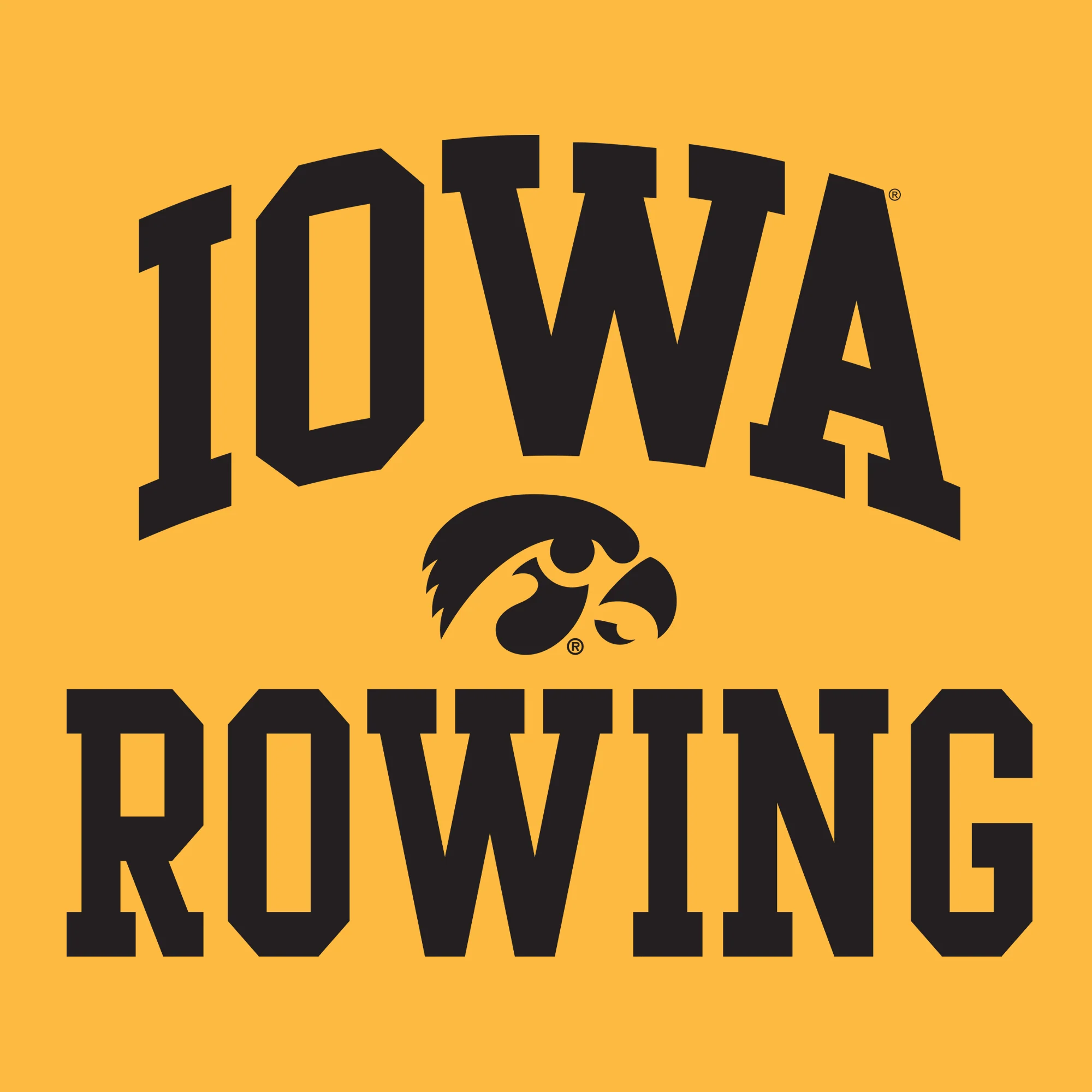University of Iowa Hawkeyes Arch Logo Rowing Hoodie - Gold - Image 2