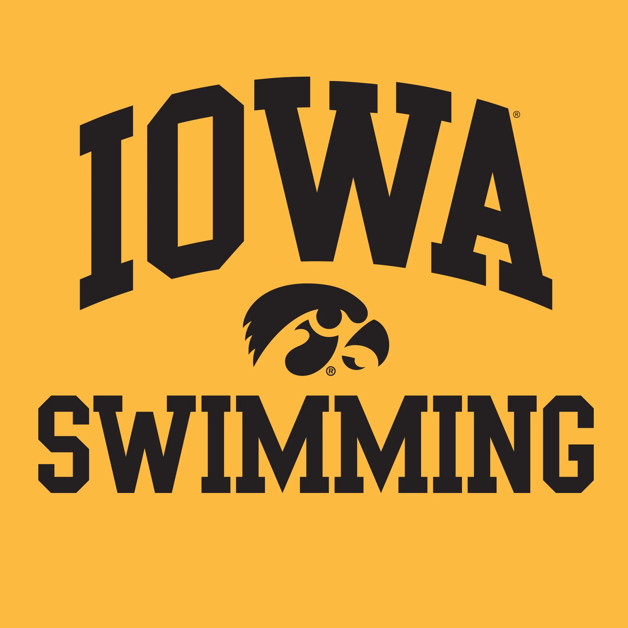 University of Iowa Hawkeyes Arch Logo Swimming Hoodie- Gold - Image 2