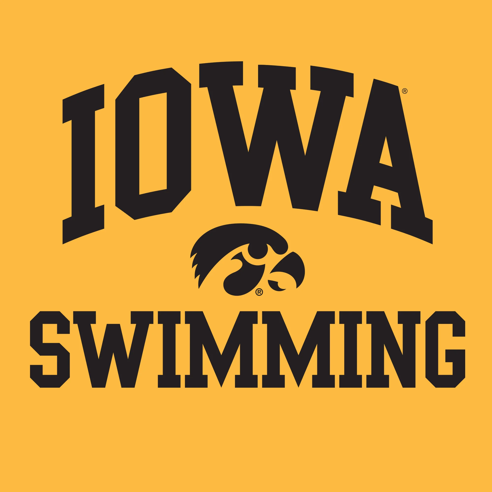 University of Iowa Hawkeyes Arch Logo Swimming Long Sleeve T Shirt- Gold - Image 2