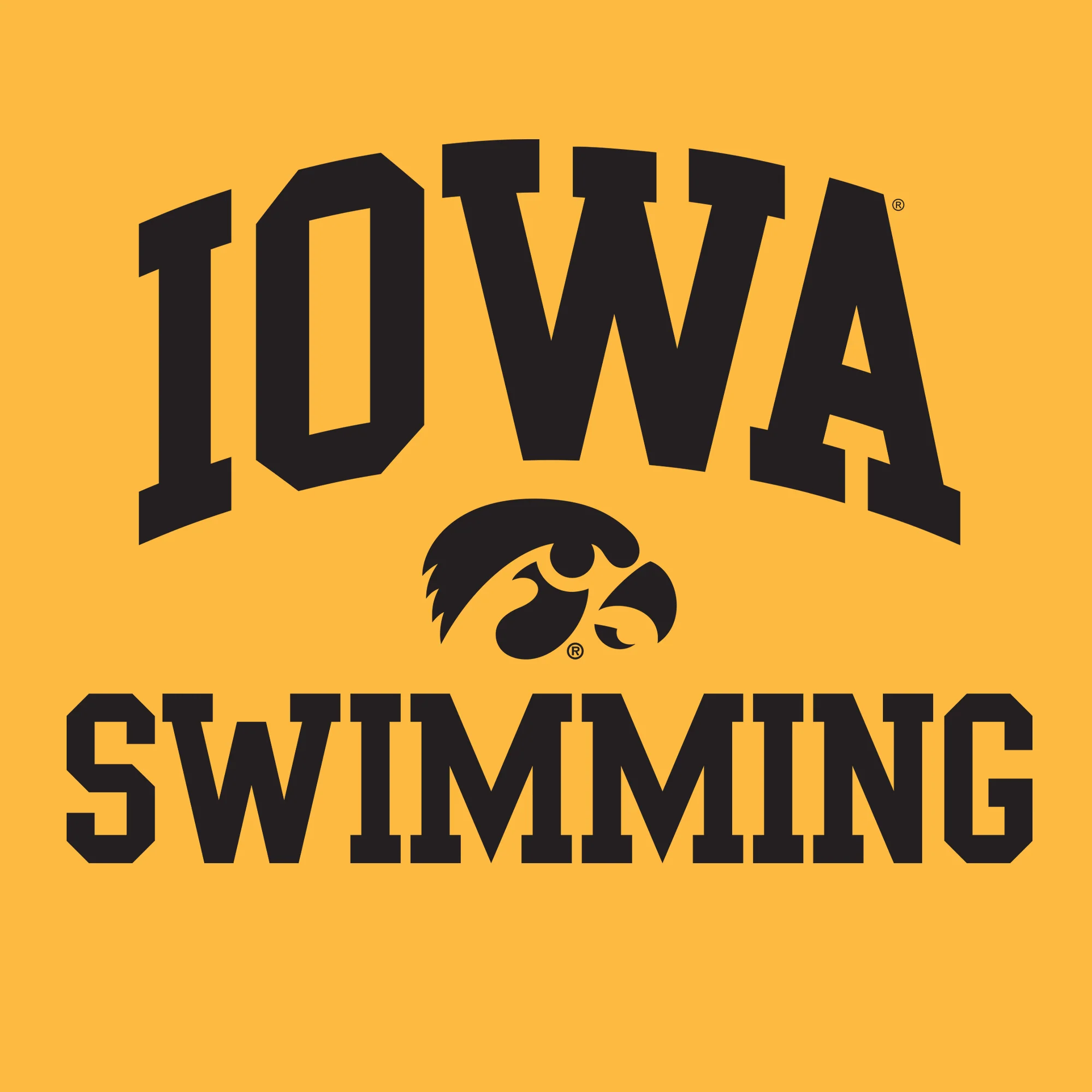 University of Iowa Hawkeyes Arch Logo Swimming Short Sleeve T Shirt - Gold - Image 2