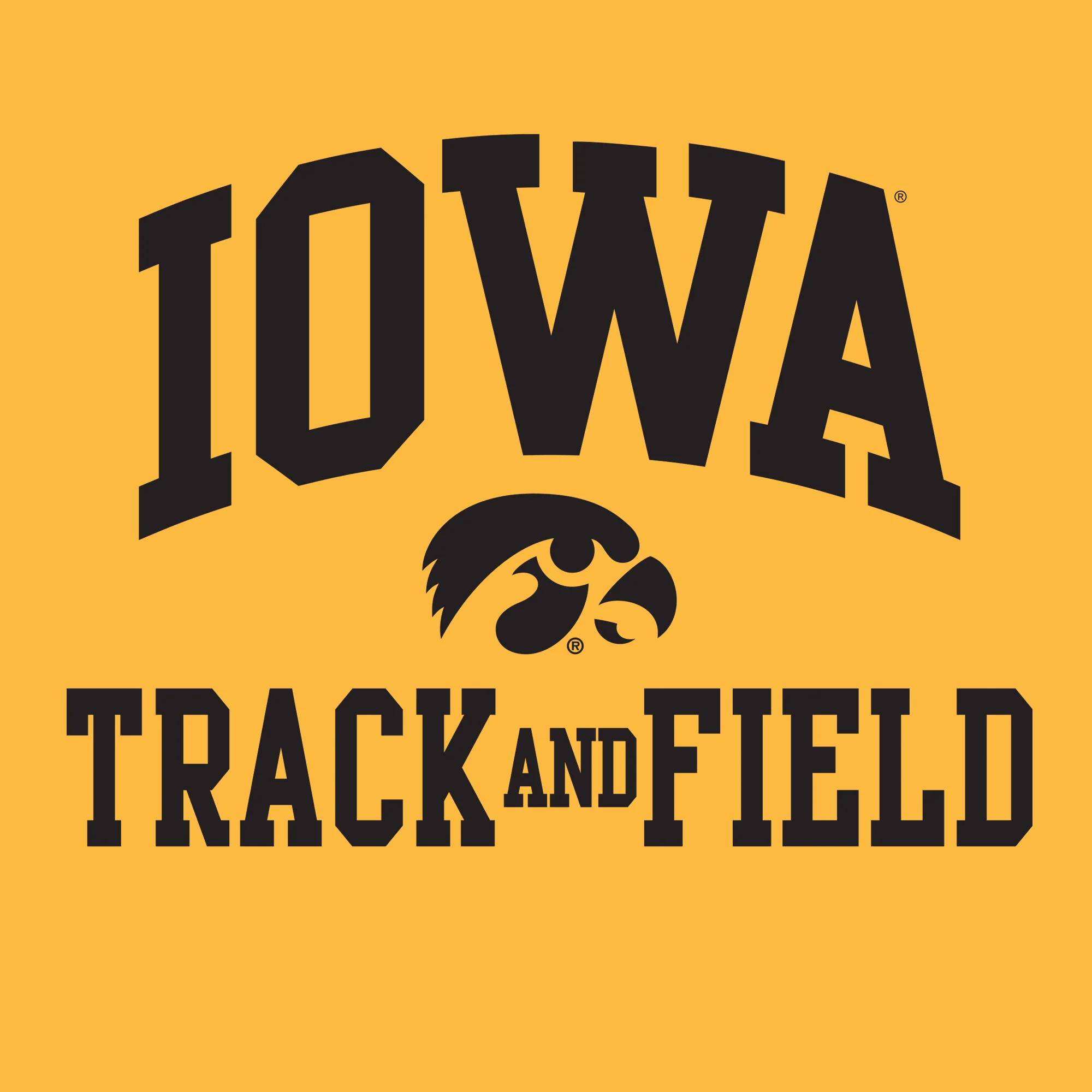University of Iowa Hawkeyes Arch Logo Track and Field Hoodie - Gold - Image 2