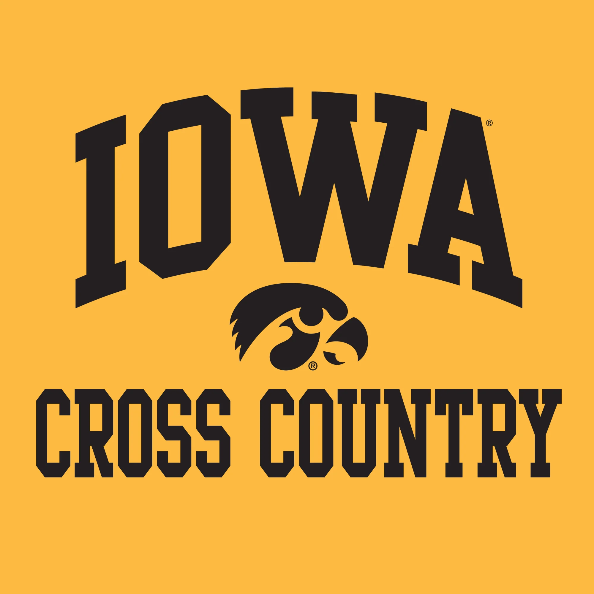 University of Iowa Hawkeyes Arch Logo Volleyball Sleeve T Shirt- Gold - Image 2