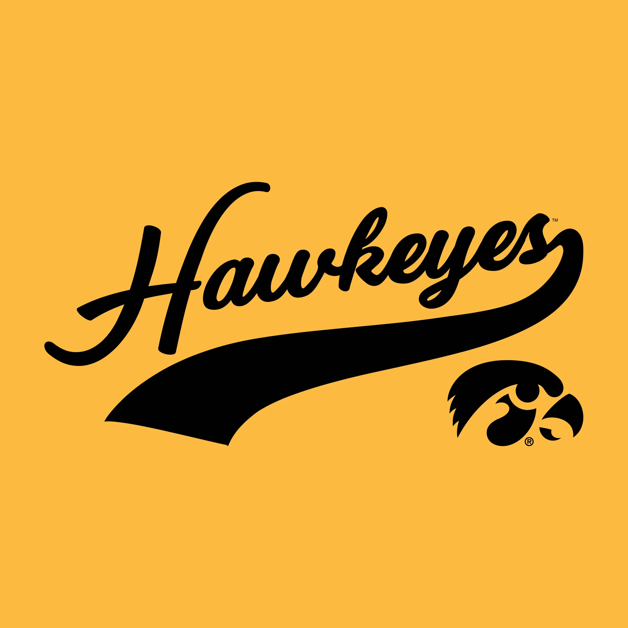University of Iowa Hawkeyes Baseball Jersey Script Short Sleeve T-Shirt - Gold - Image 2