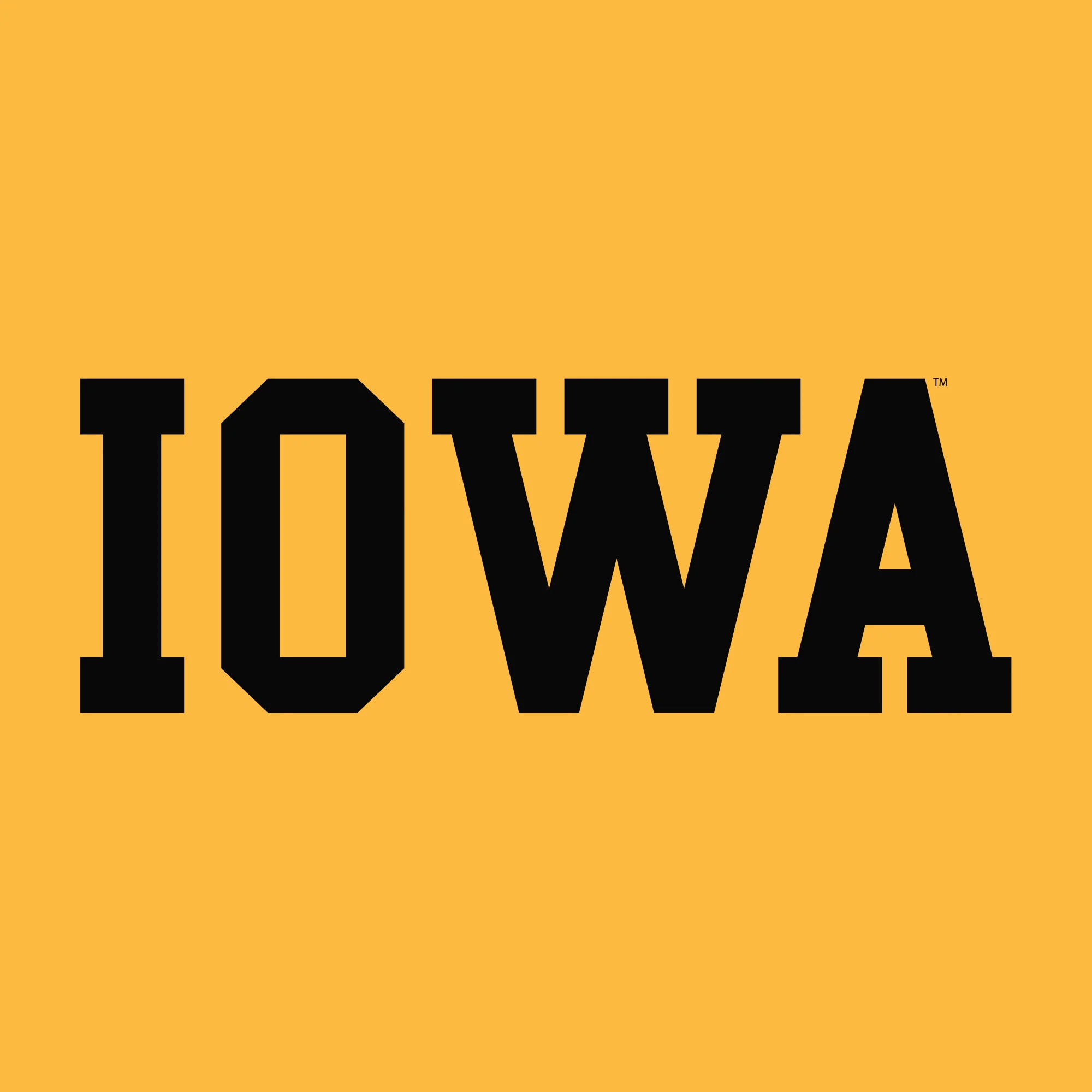 University of Iowa Hawkeyes Basic Block Crewneck Sweatshirt - Gold - Image 2