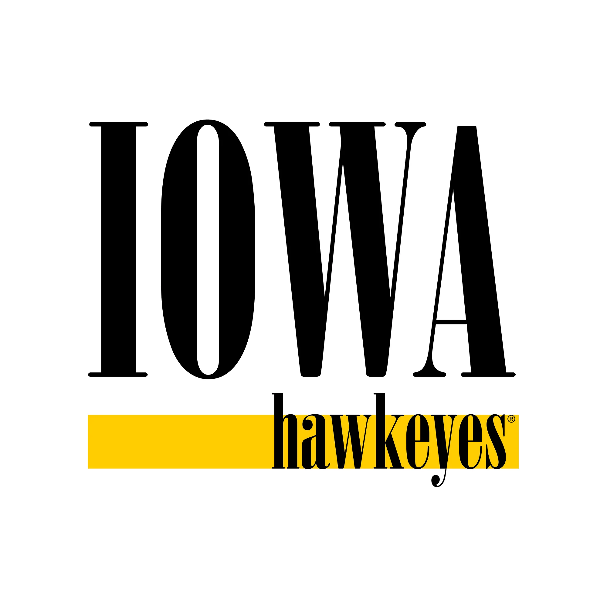 University of Iowa Hawkeyes Boldline Basic Cotton Crewneck Sweatshirt - White - Image 2