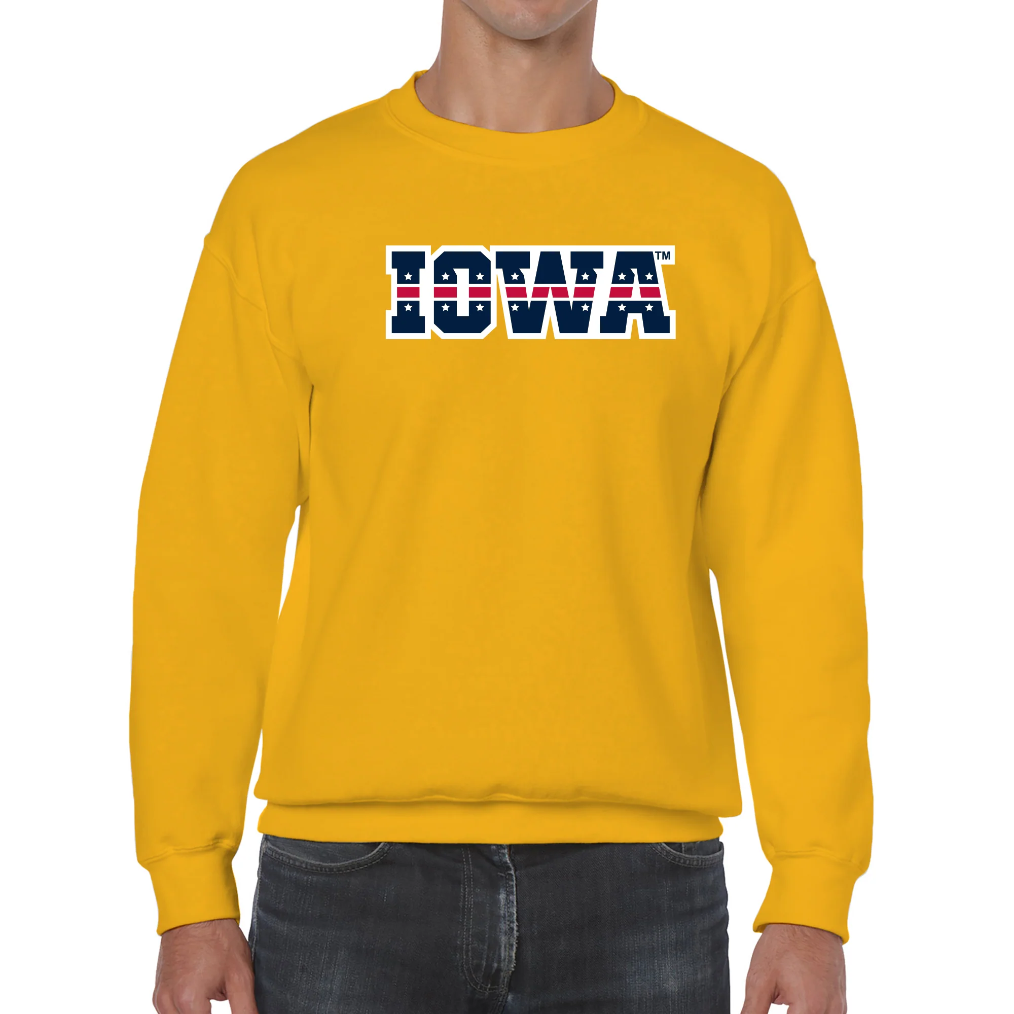 University of Iowa Hawkeyes Patriotic Wordmark, Team Color Crewneck - Image 3