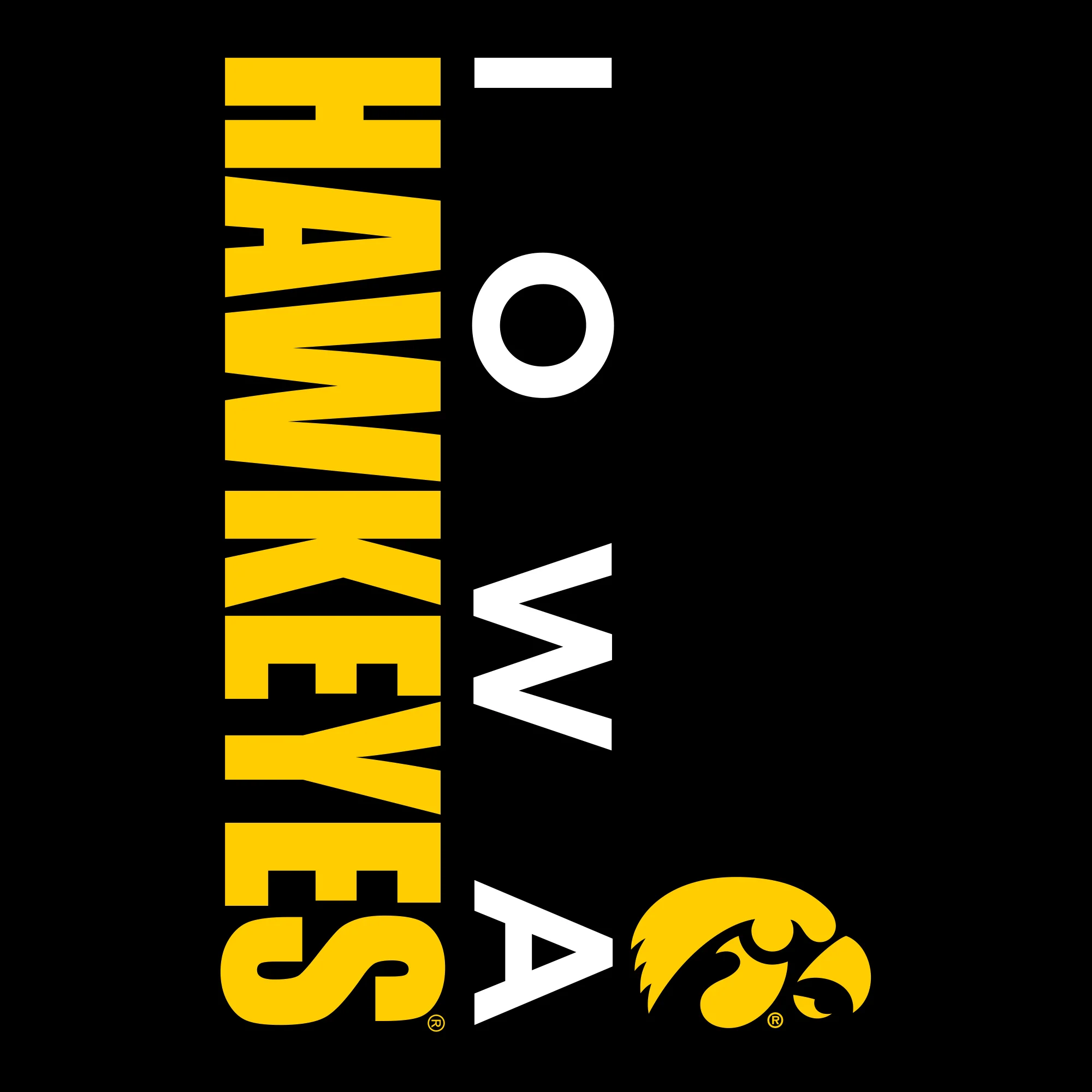 University of Iowa Hawkeyes Vertical Block Left Chest Full Zip Hoodie - Black - Image 2