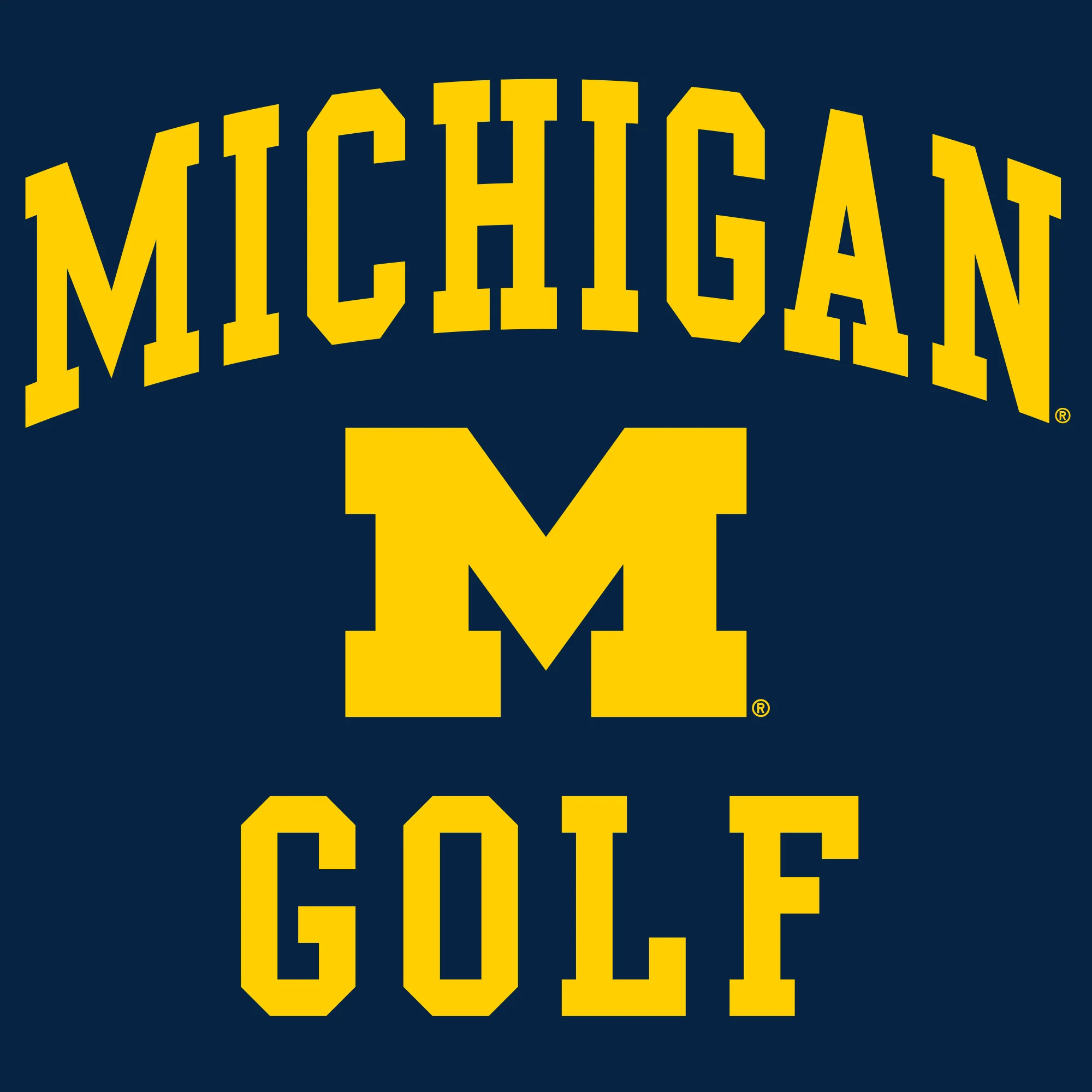 University of Michigan Wolverines Arch Logo Golf Hoodie - Navy - Image 2