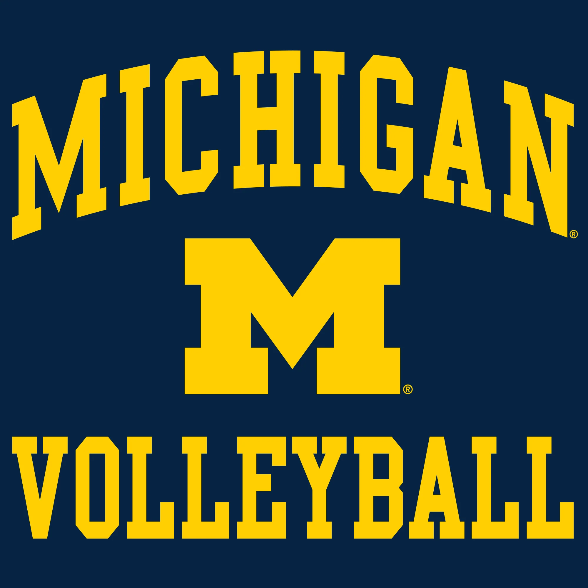 University of Michigan Wolverines Arch Logo Volleyball Hoodie - Navy - Image 2