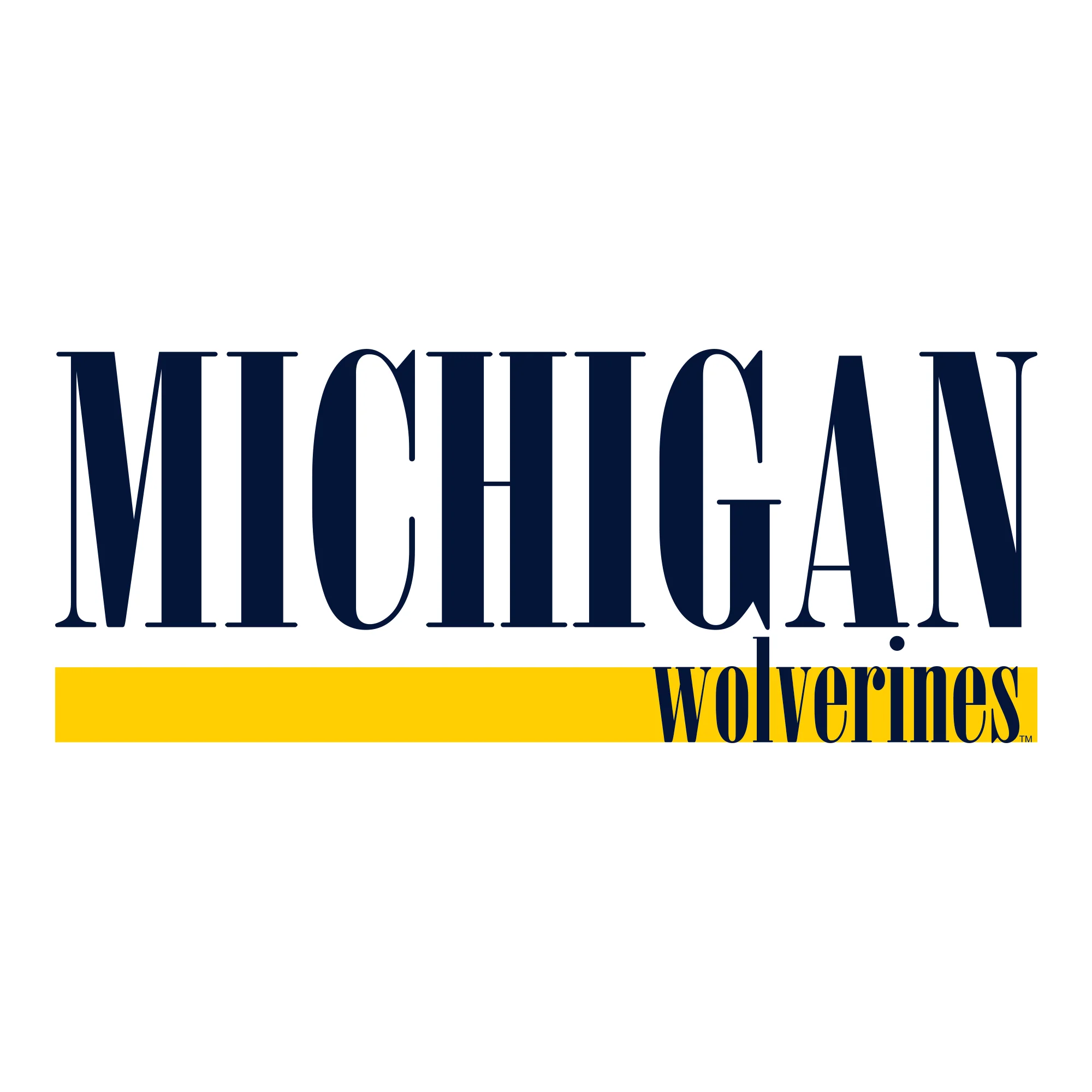 University of Michigan Wolverines Boldline Basic Cotton Tank Top - White - Image 2