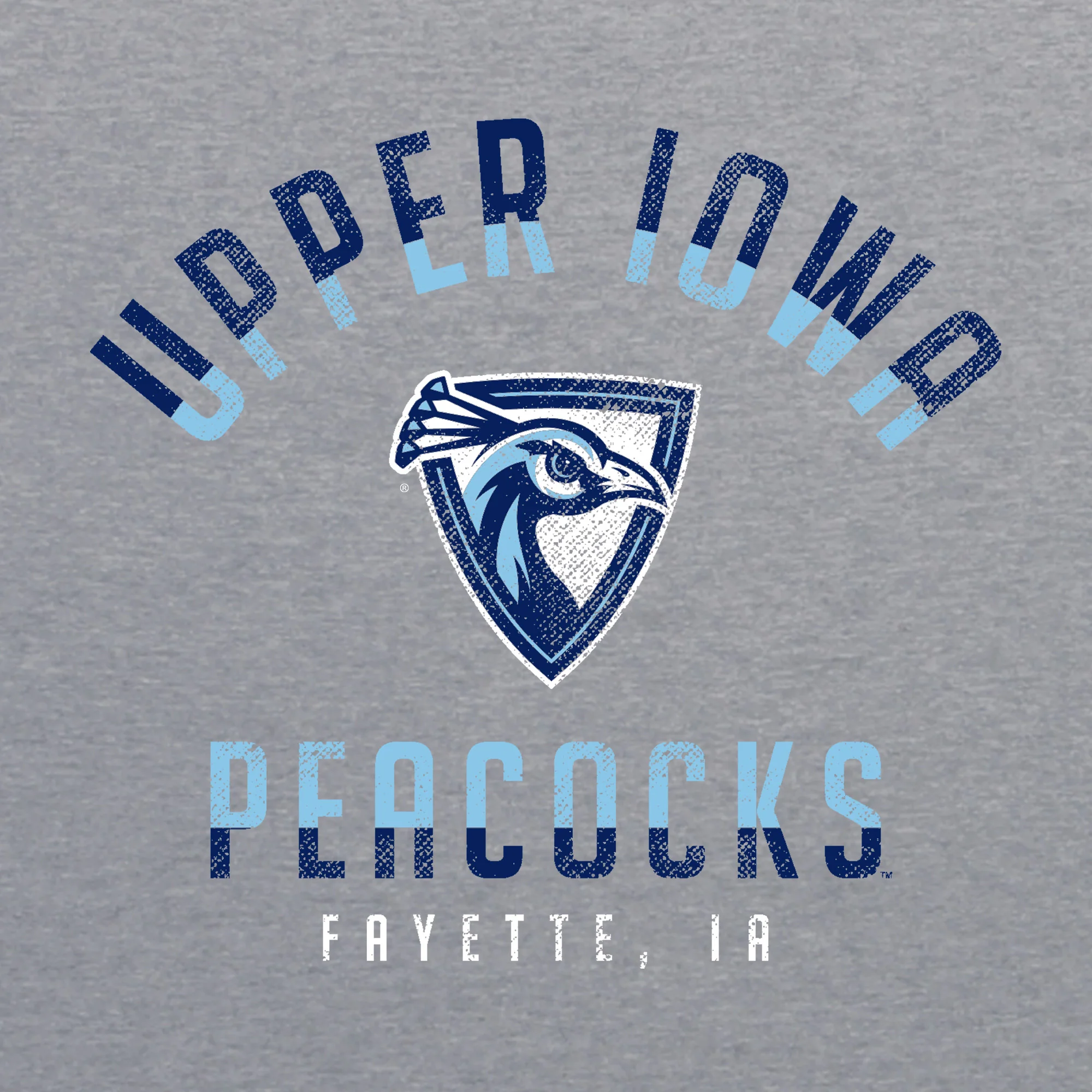 Upper Iowa Division Arch Triblend T-Shirt - Athletic Grey - Image 2