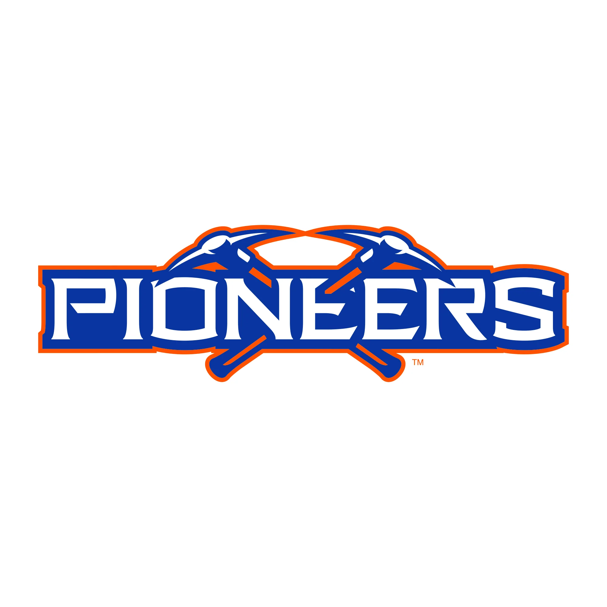 UW-Platteville Primary Logo Hoodie - White - Image 2