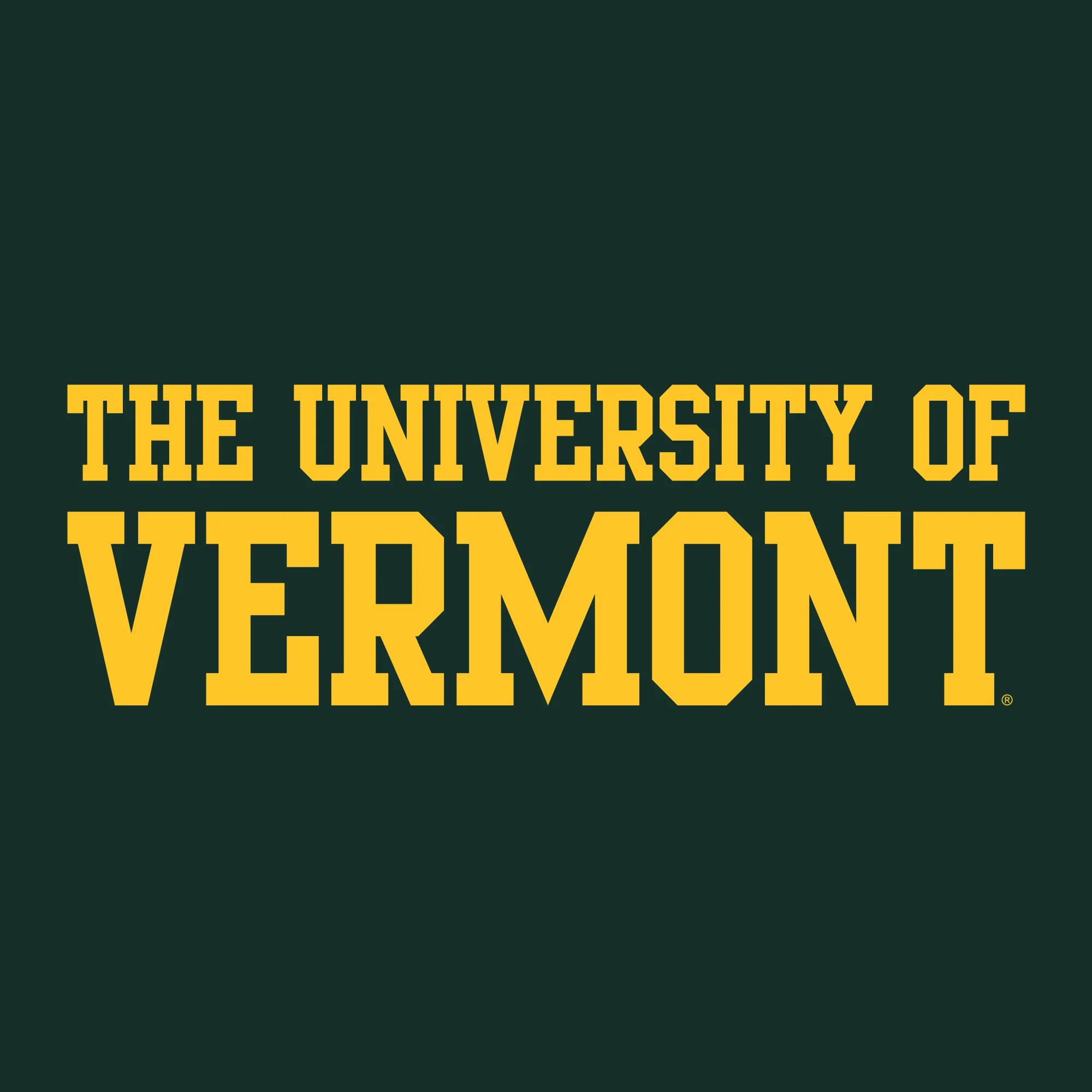 Vermont Basic Block Hoodie - Forest - Image 2