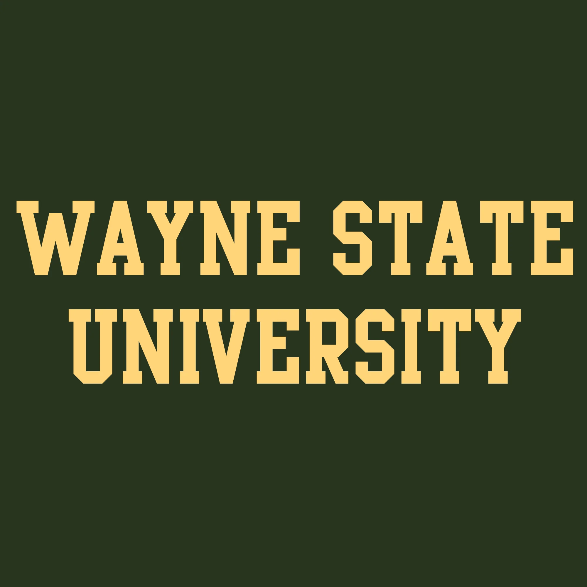 Wayne State University Basic Block Heavy Blend Hoodie - Forest - Image 2
