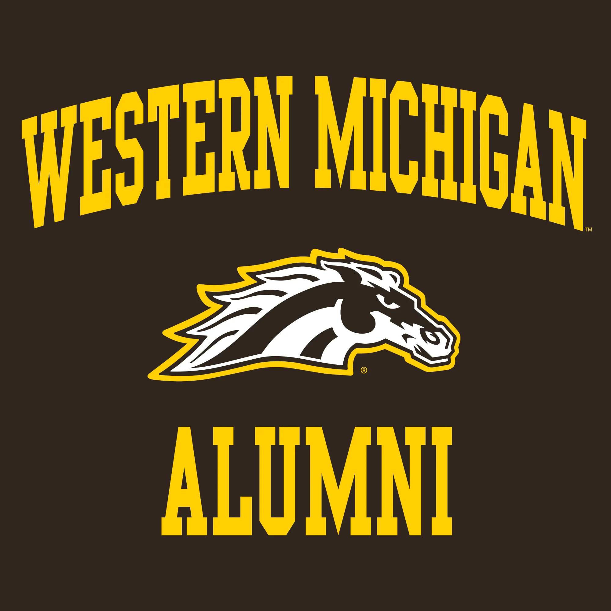 Western Michigan Arch Logo Alumni T-Shirt - Dark Chocolate - Image 2