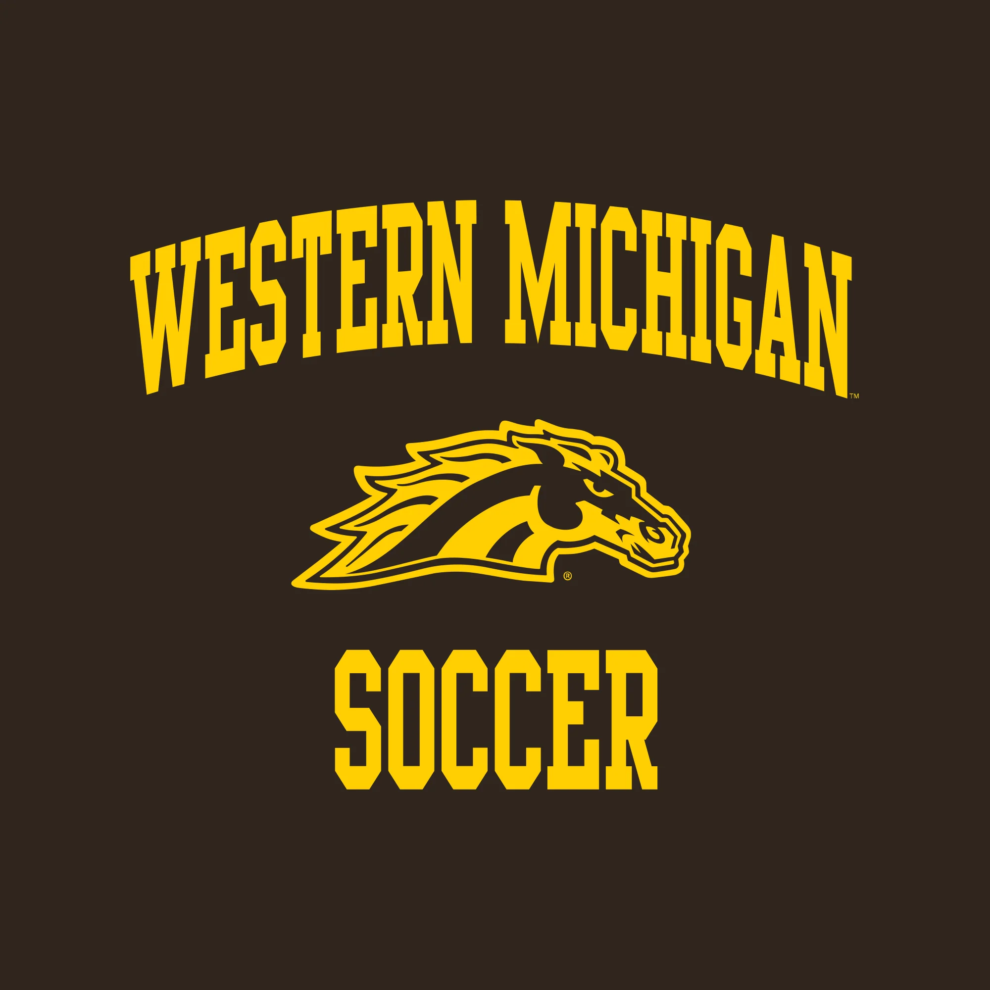 Western Michigan Arch Logo Soccer Hoodie - Dark Chocolate - Image 2