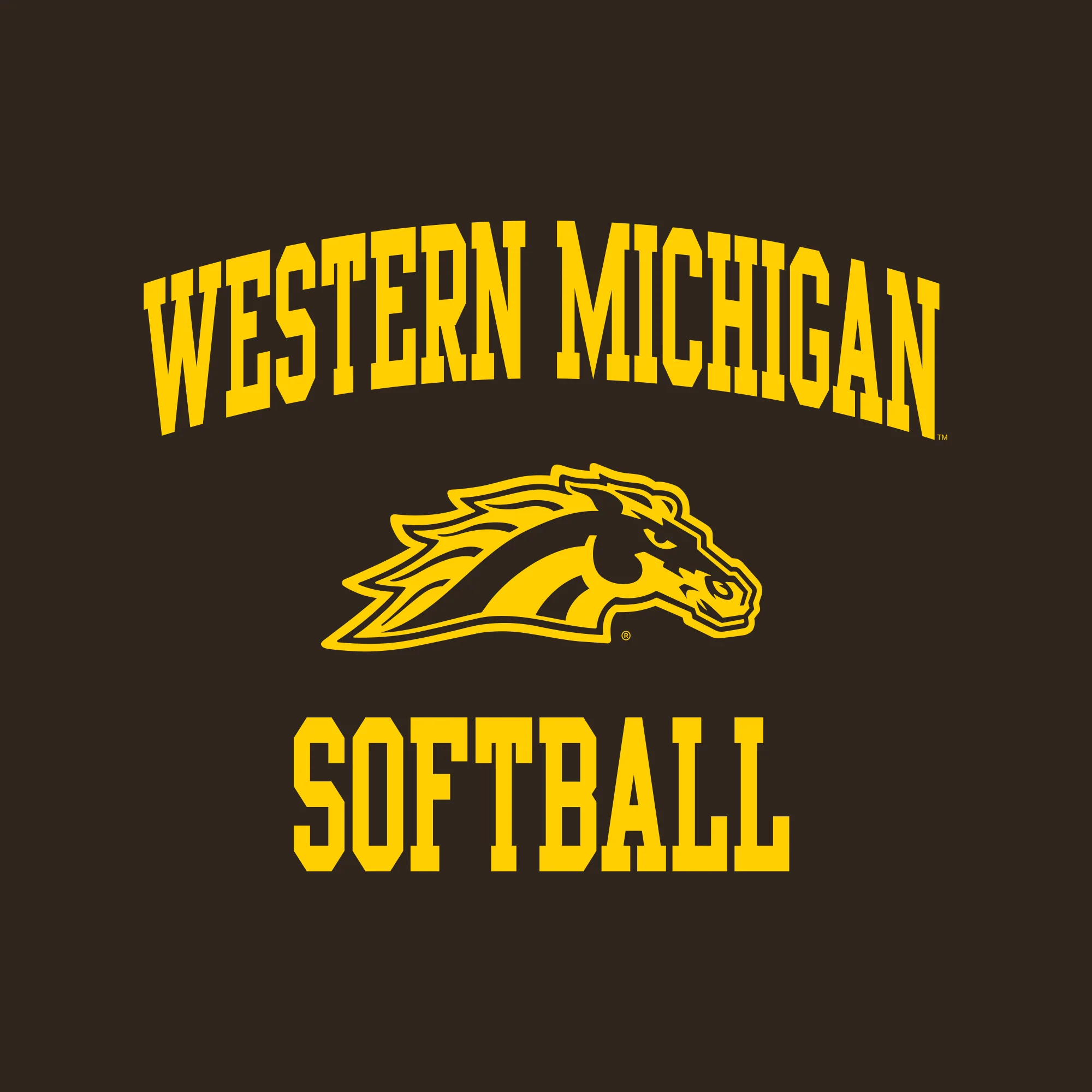 Western Michigan Arch Logo Softball Hoodie - Dark Chocolate - Image 2